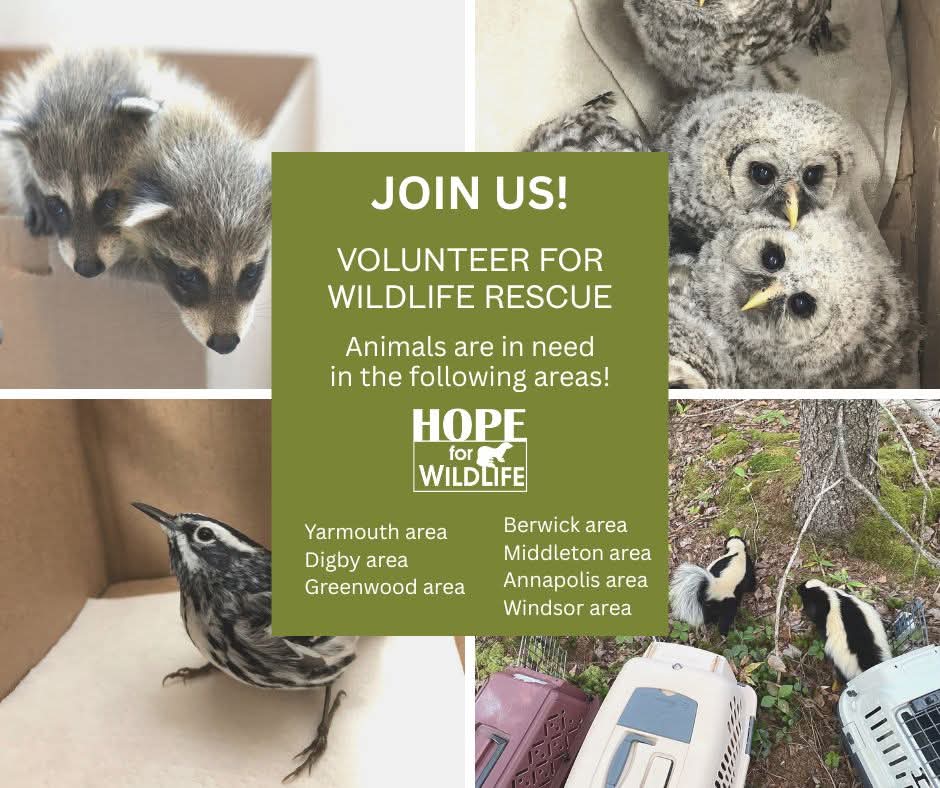 Do you like animals? Do you like driving? Interesting in putting the two together and making a difference? We'll here's your chance!