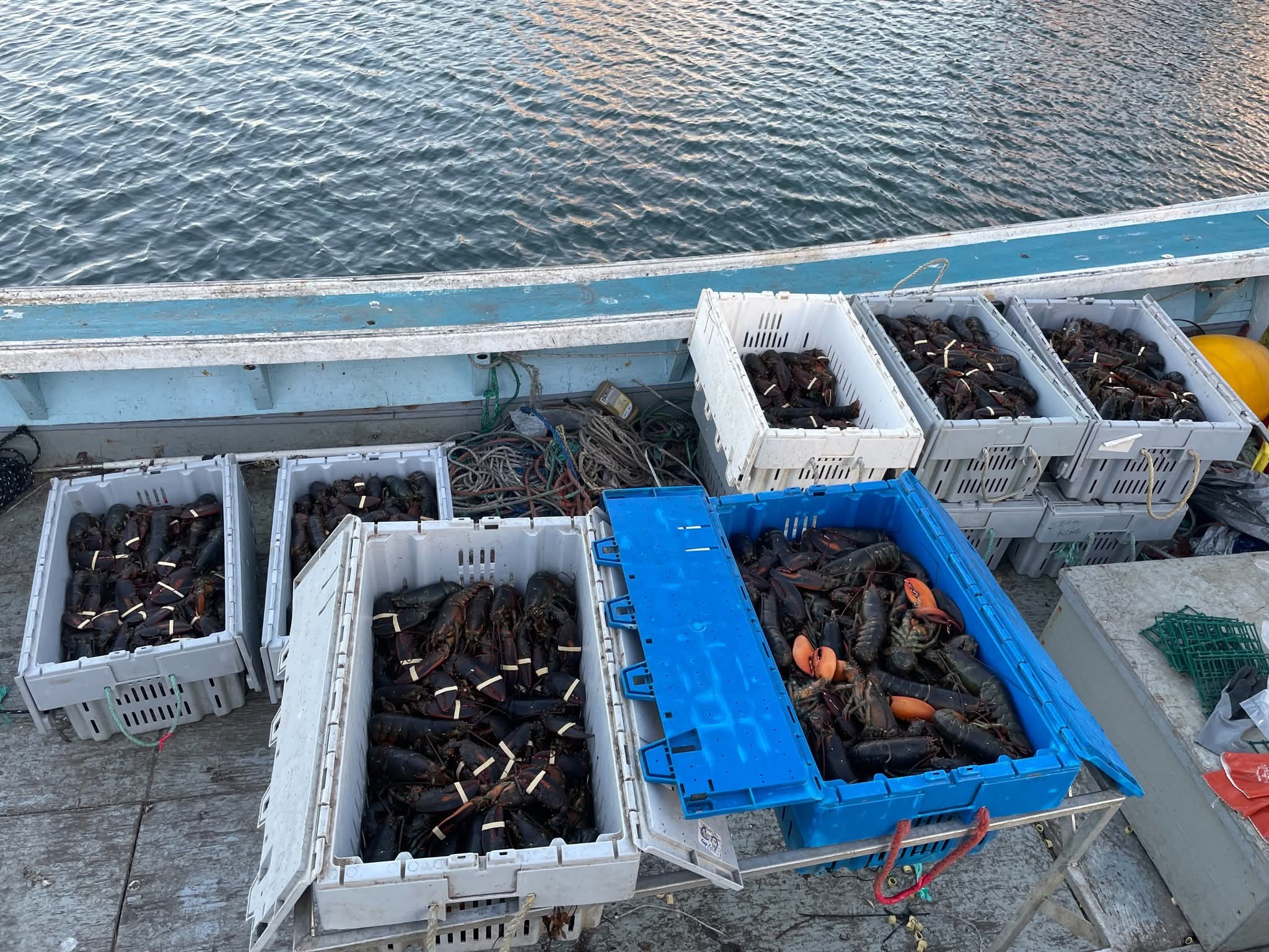 Fishery officers in Southwest Nova Scotia arrested 5 individuals for fishing lobster traps in St. Marys Bay that they were not authorized to fish,