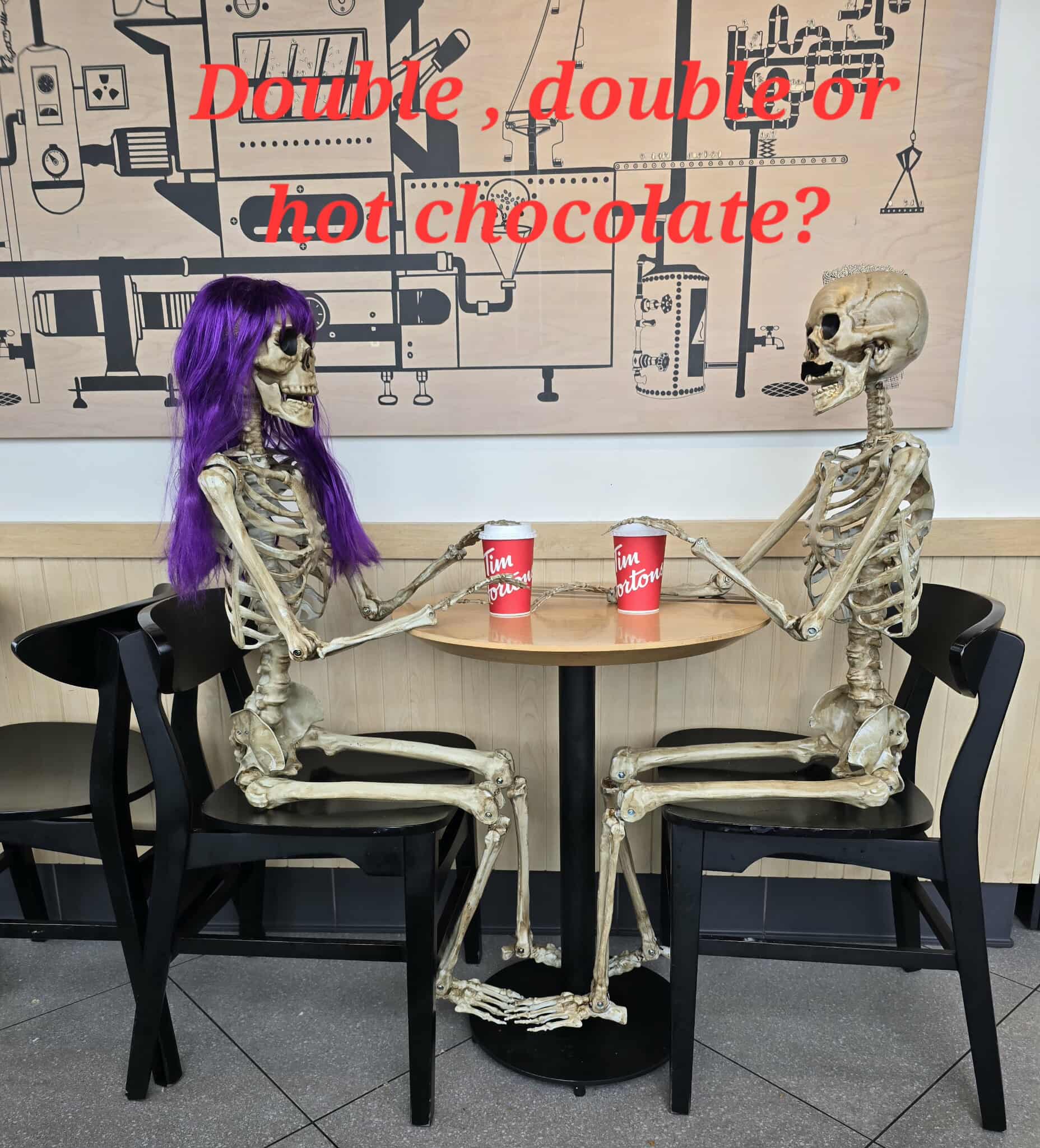 Life with Skelly and Shelly!