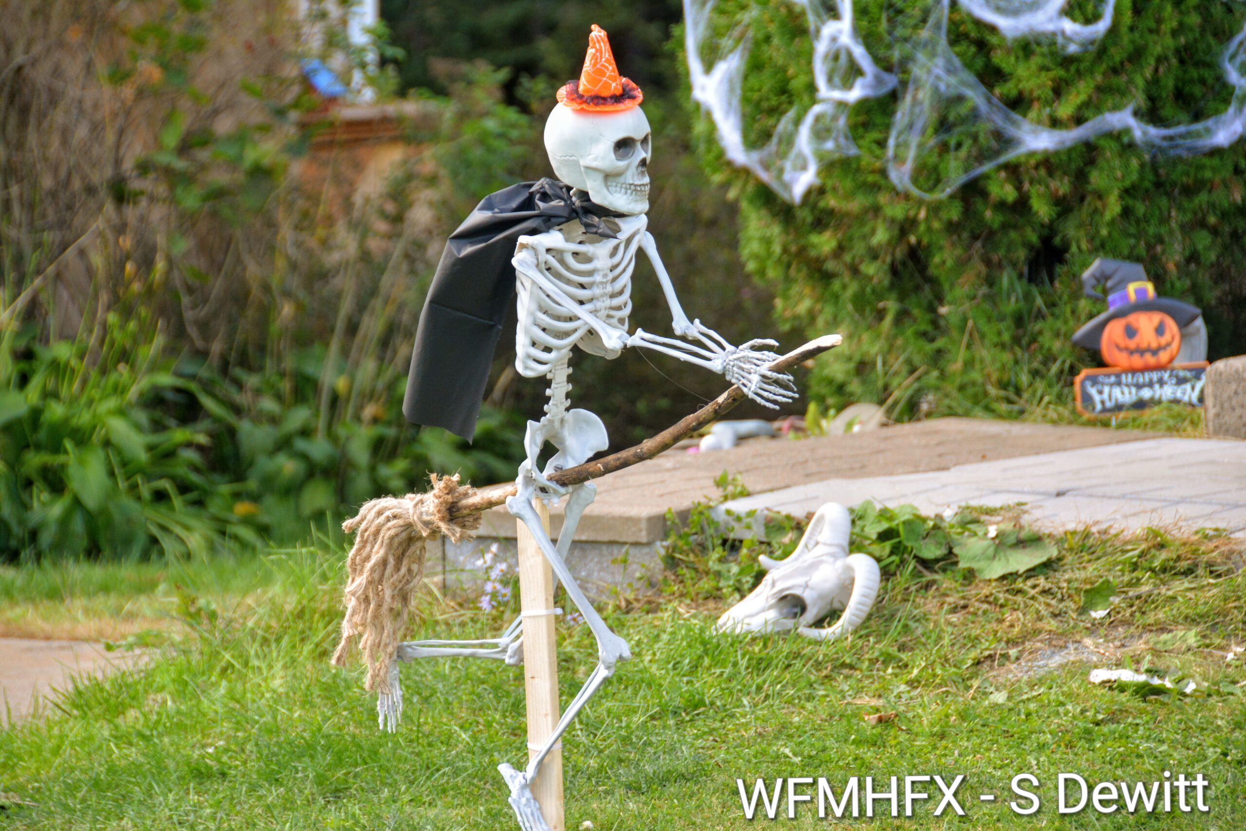 In photos - Witch way will you fly off the handle after you are spellbound along Flying Cloud Drive?  And wood you be safer on Cranberry Crescent?  I think not!