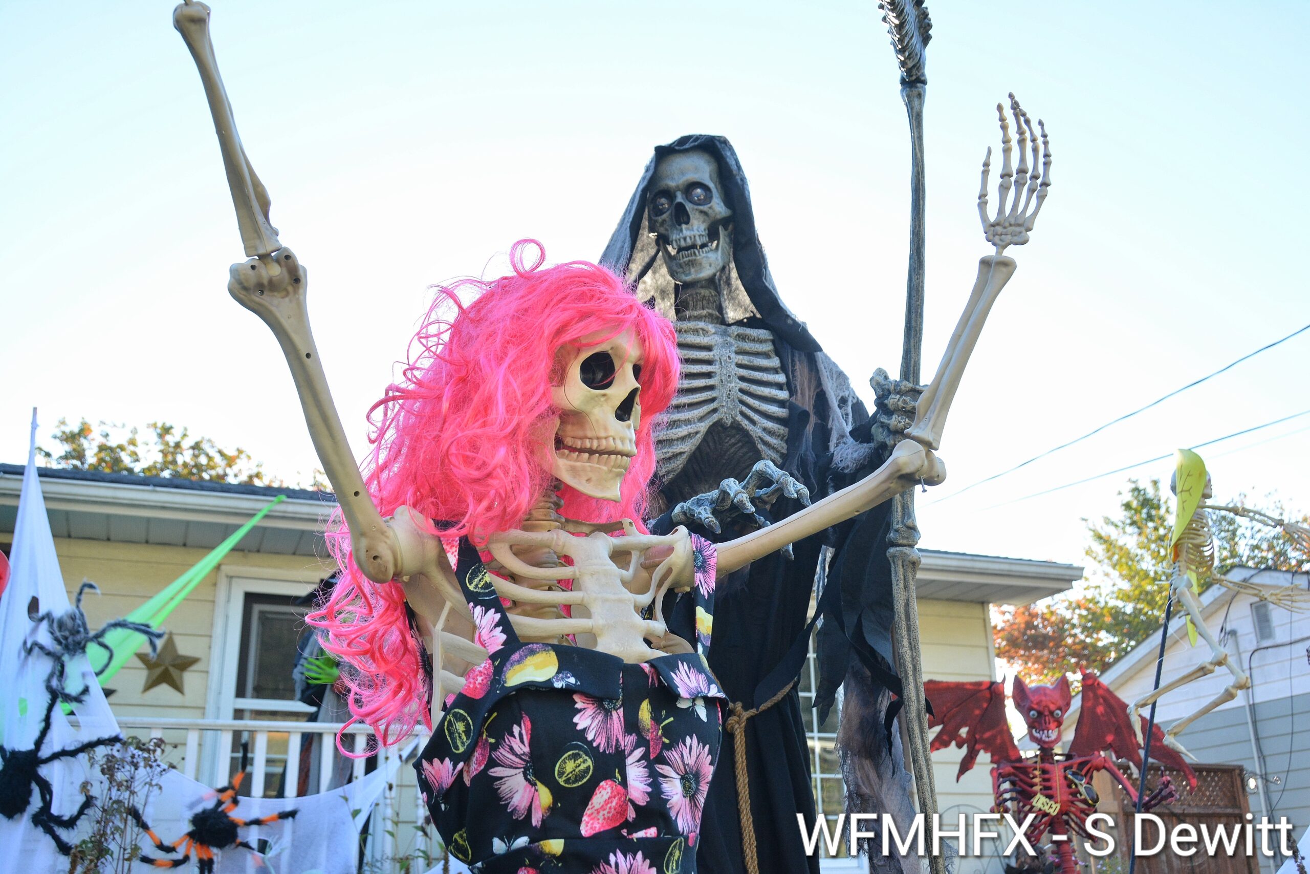 In photos - You'll be tickled pink to learn that the terrors of Paxton Dr are local to the area, but be warned: the horrors will take a while to relax their hold!