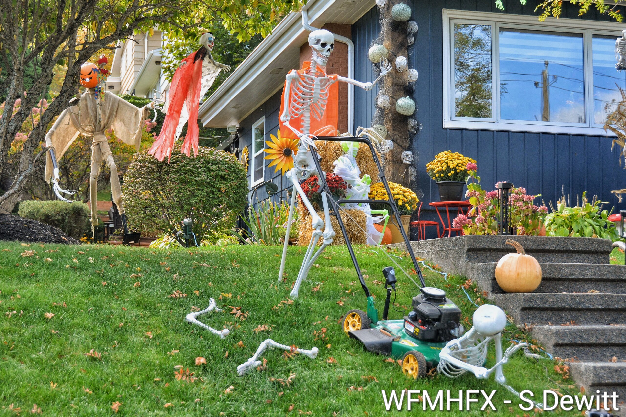 In photos - Be careful to avoid being mowed over with terror as you cross this snippy yard on Lorne Ave in Dartmouth!