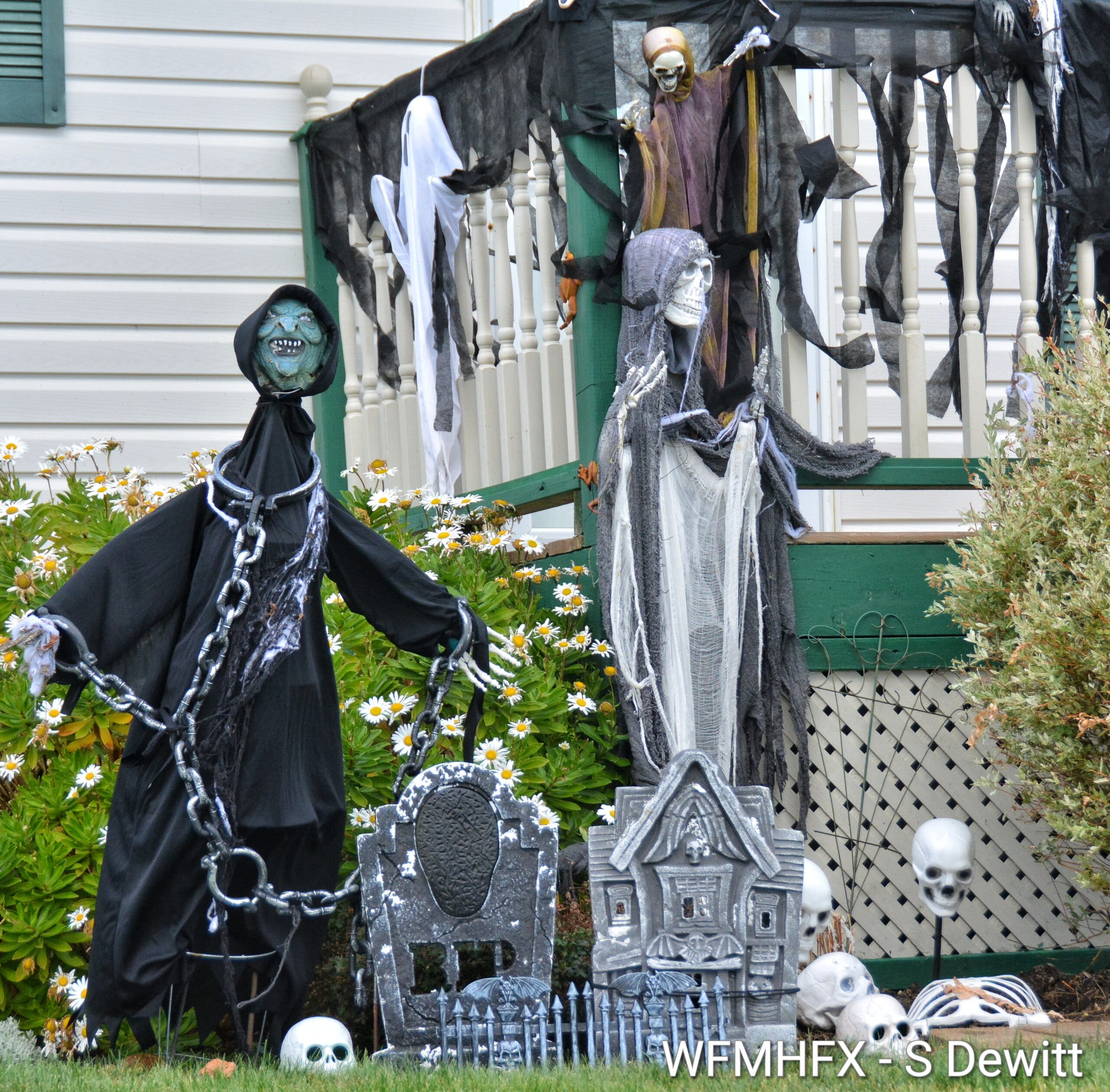 In photos - You can't predict the horrors as you creep down Oceanlea Dr in Eastern Passage!