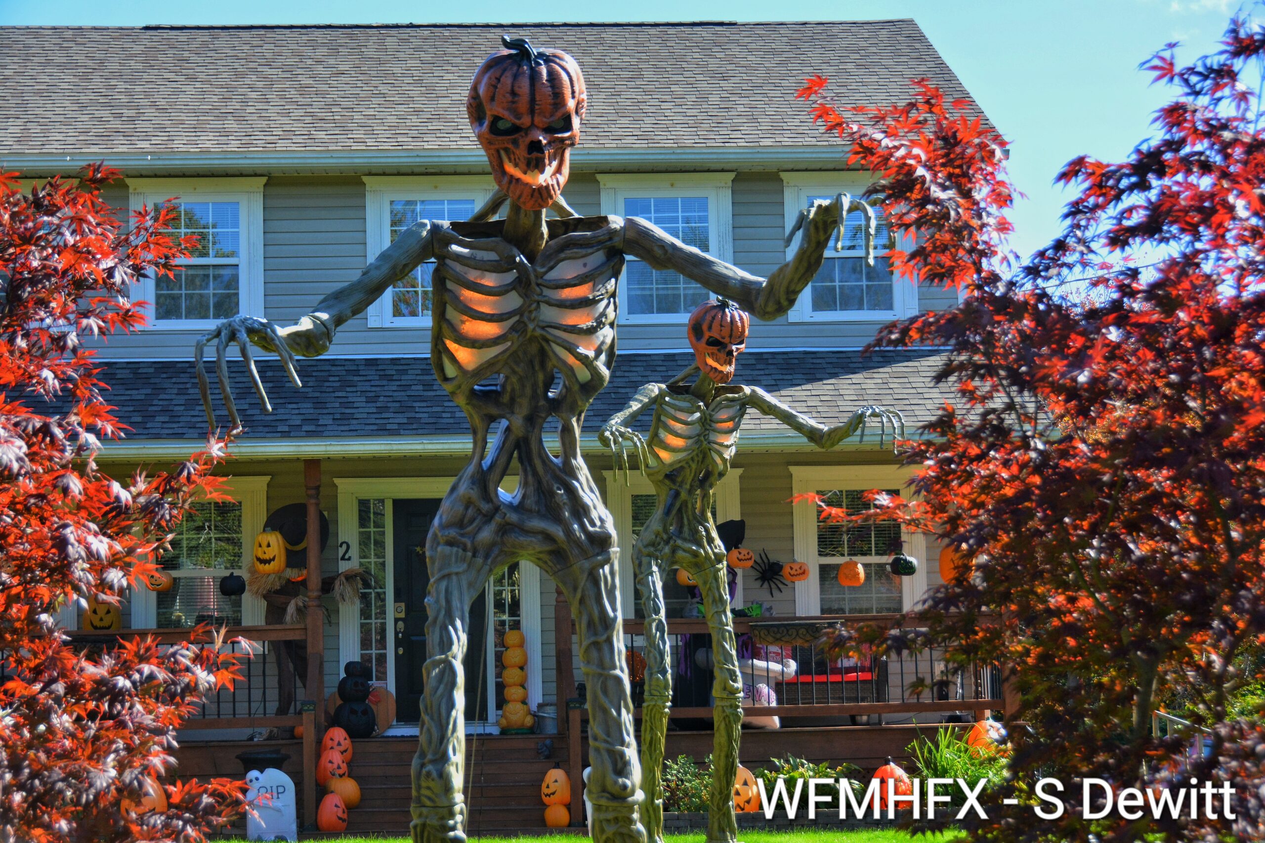 In photos - The spirits of Halloween stand tall on Cherylann Dr in Cow Bay, and they are waiting to greet you with sinister intent!