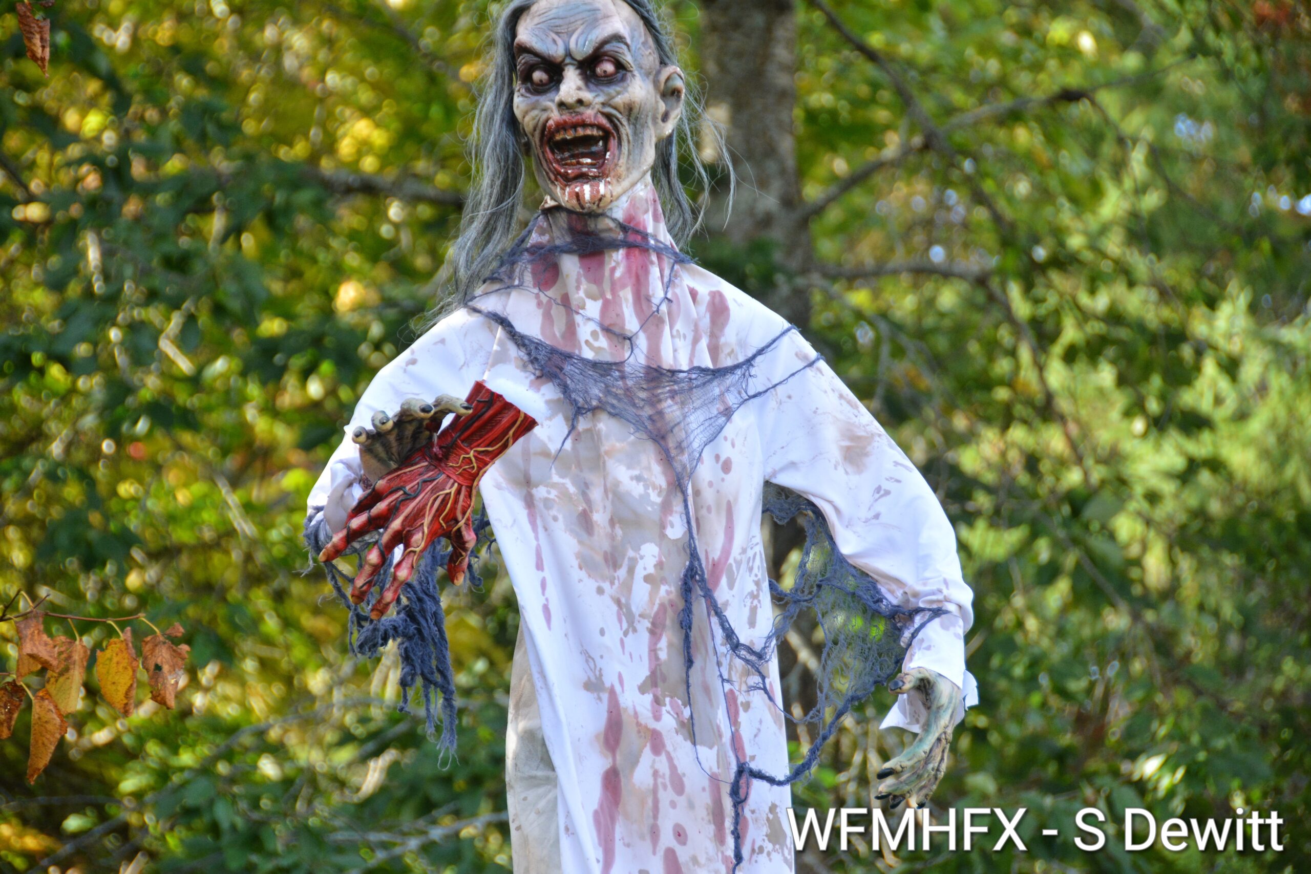 In photos - Monsters are real, and there's unliving proof of this along Celtic Dr in Dartmouth!