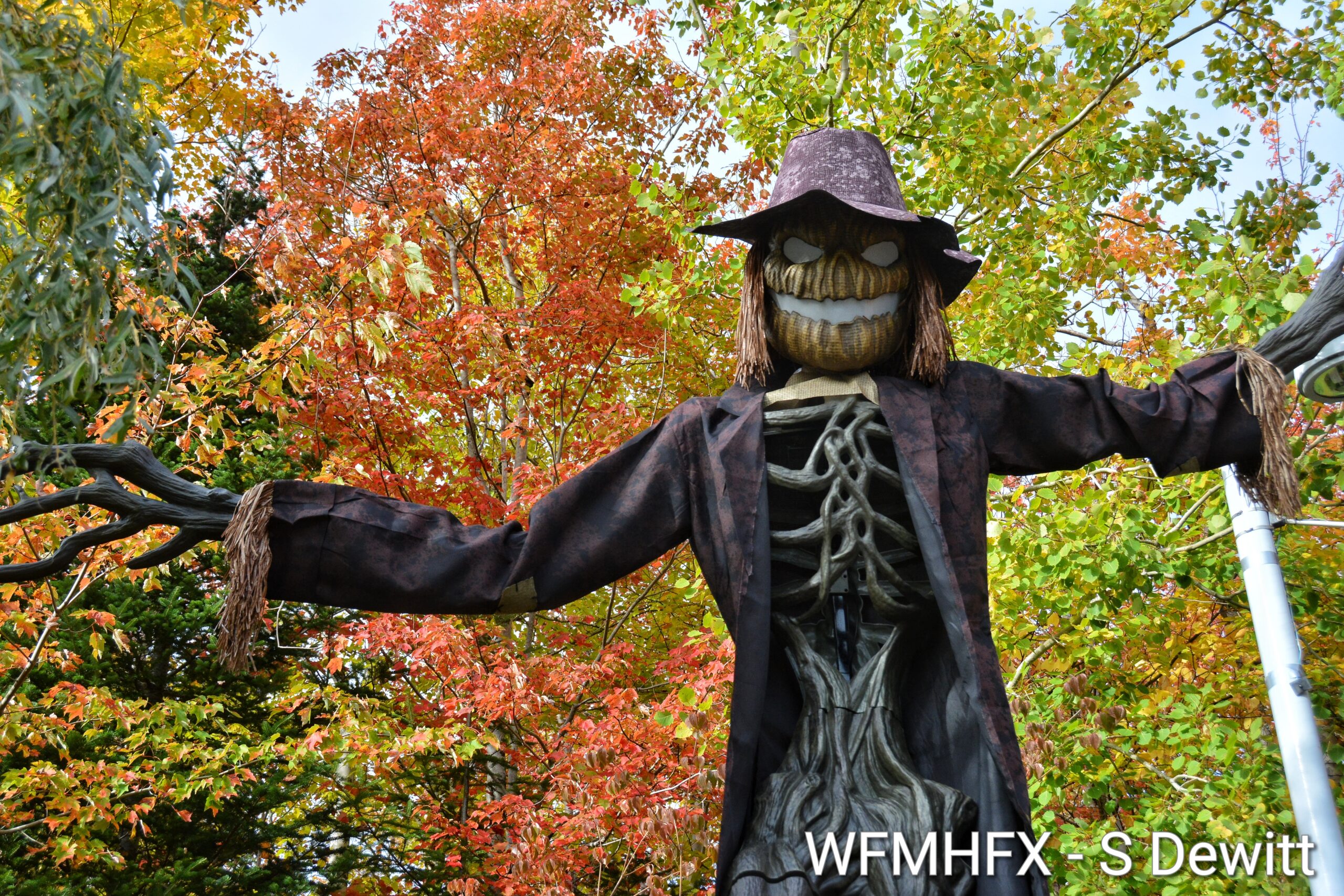 In photos - There are things much more terrifying than Monsters, and if you are brave enough to venture through this menacing yard way up Lakecrest Dr in middle earth, I mean Sackville, you will learn that there can be good in the darkness!
