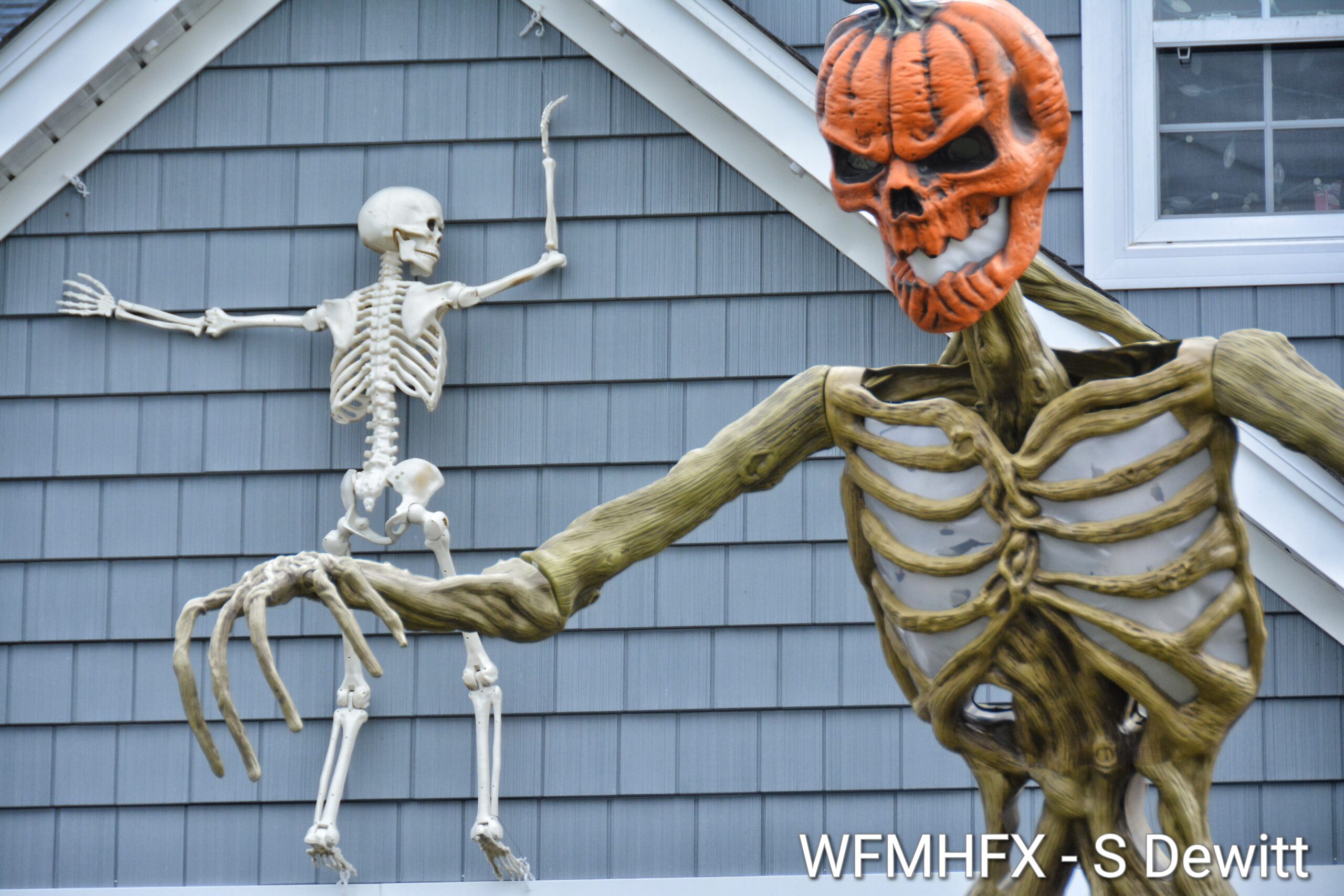 In photos - Just keep telling yourself, "It's just Halloween! It's just Halloween! It won't help block the stone cold terror of Springfield Lake Rd in Middle Sackville, but it'll give the monsters something to chuckle at!
