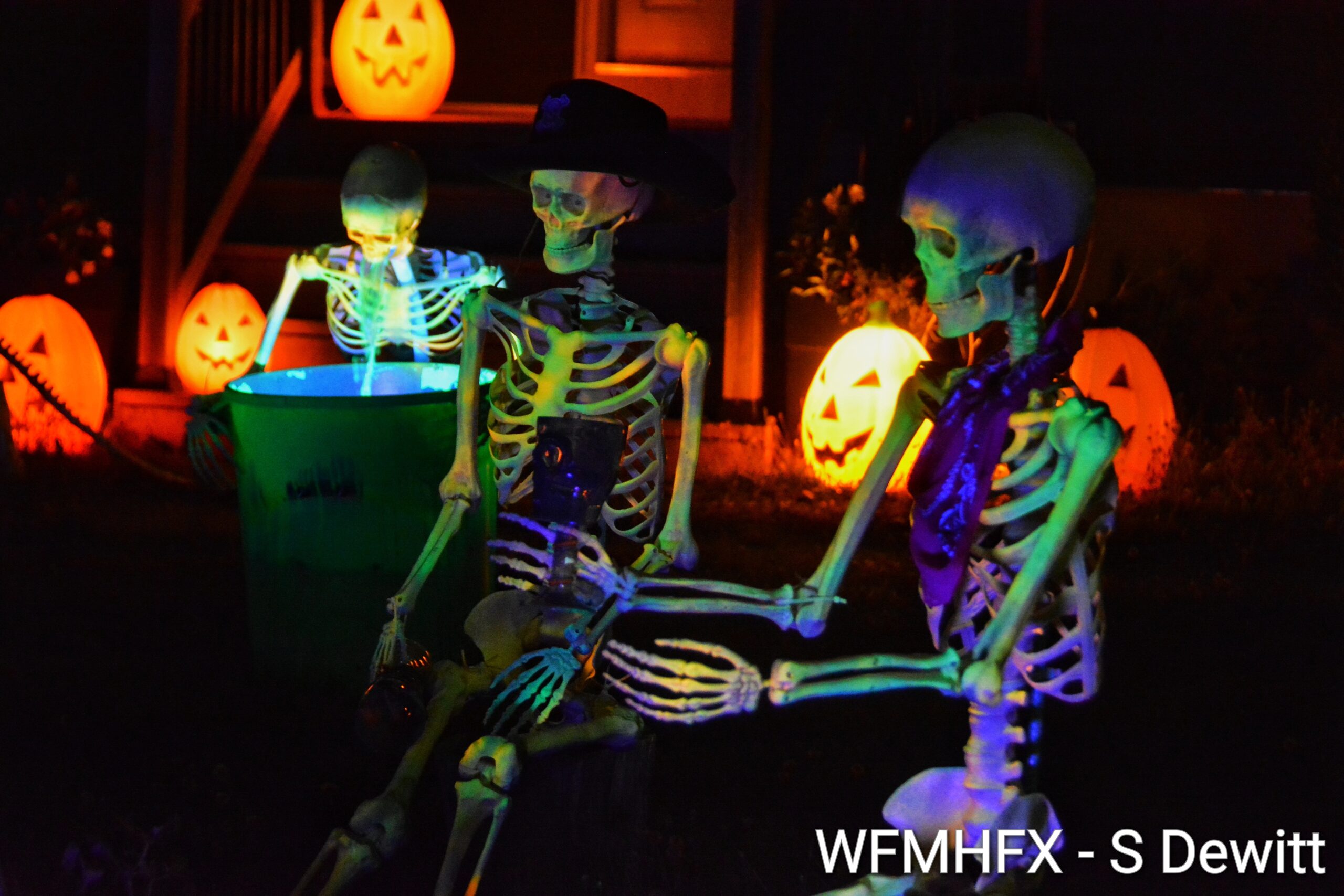 In photos - Darkness falls and your stomach will churn when you cross this high energy yard of terror on Glenwood Avenue in Dartmouth!