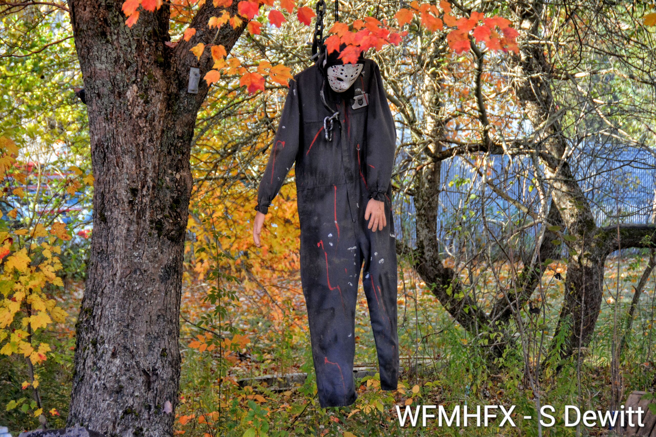 In photos - You'll want to probe this yard on Hillside Ave in Sackville, but don't hang around for too long - he's back, the man behind the mask!