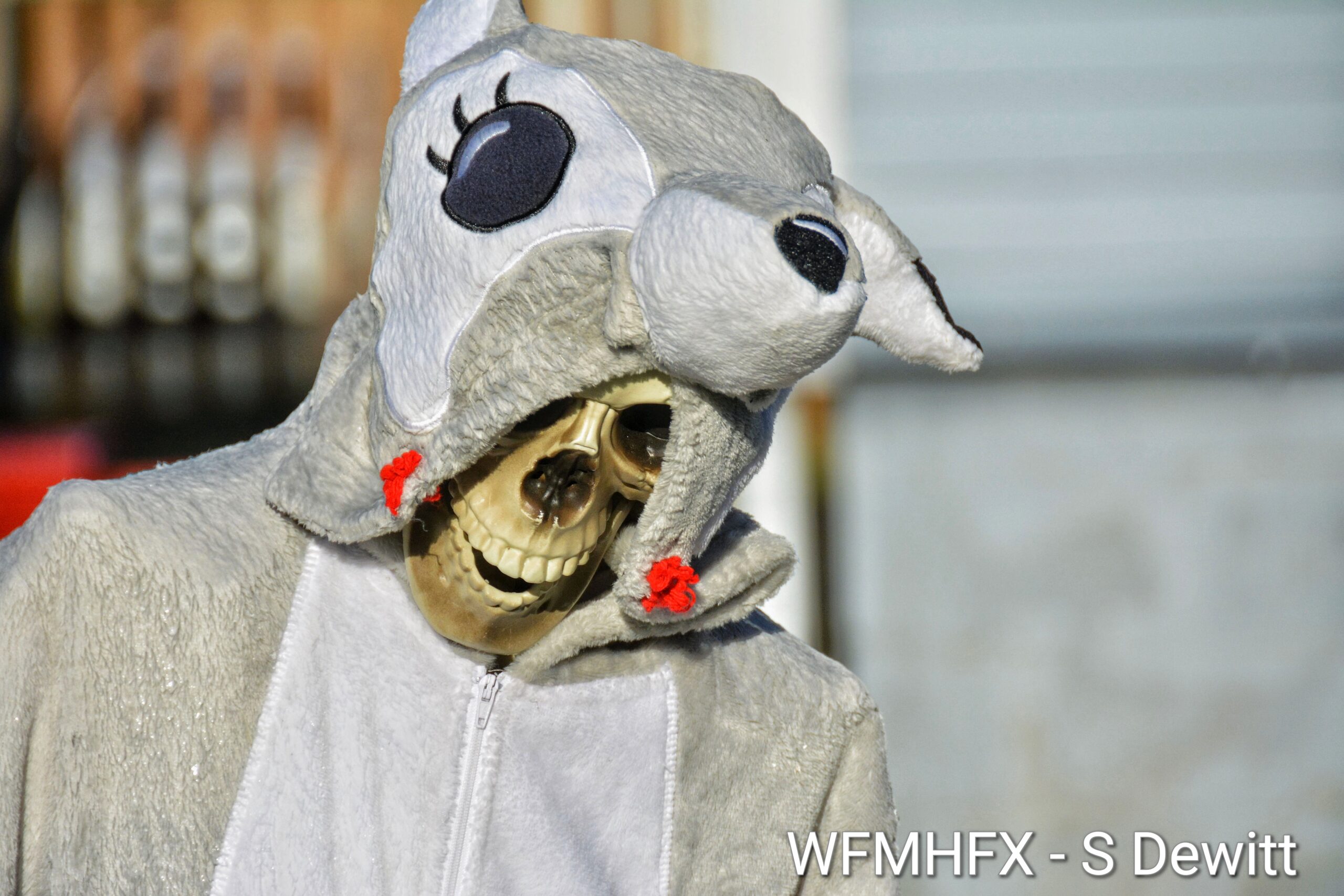 In photos - Beware! The ghouls rule on Brule St in Dartmouth, and if you are invited to supper, it may be more tricks than treats!