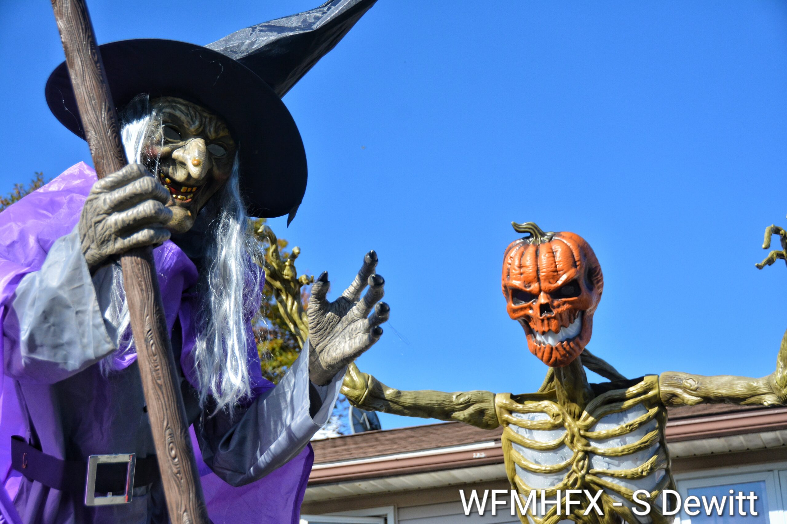 In photos - Pass through Renfrew on Dartmouth before you get carried away! Things might get catty at this bewitching yard!