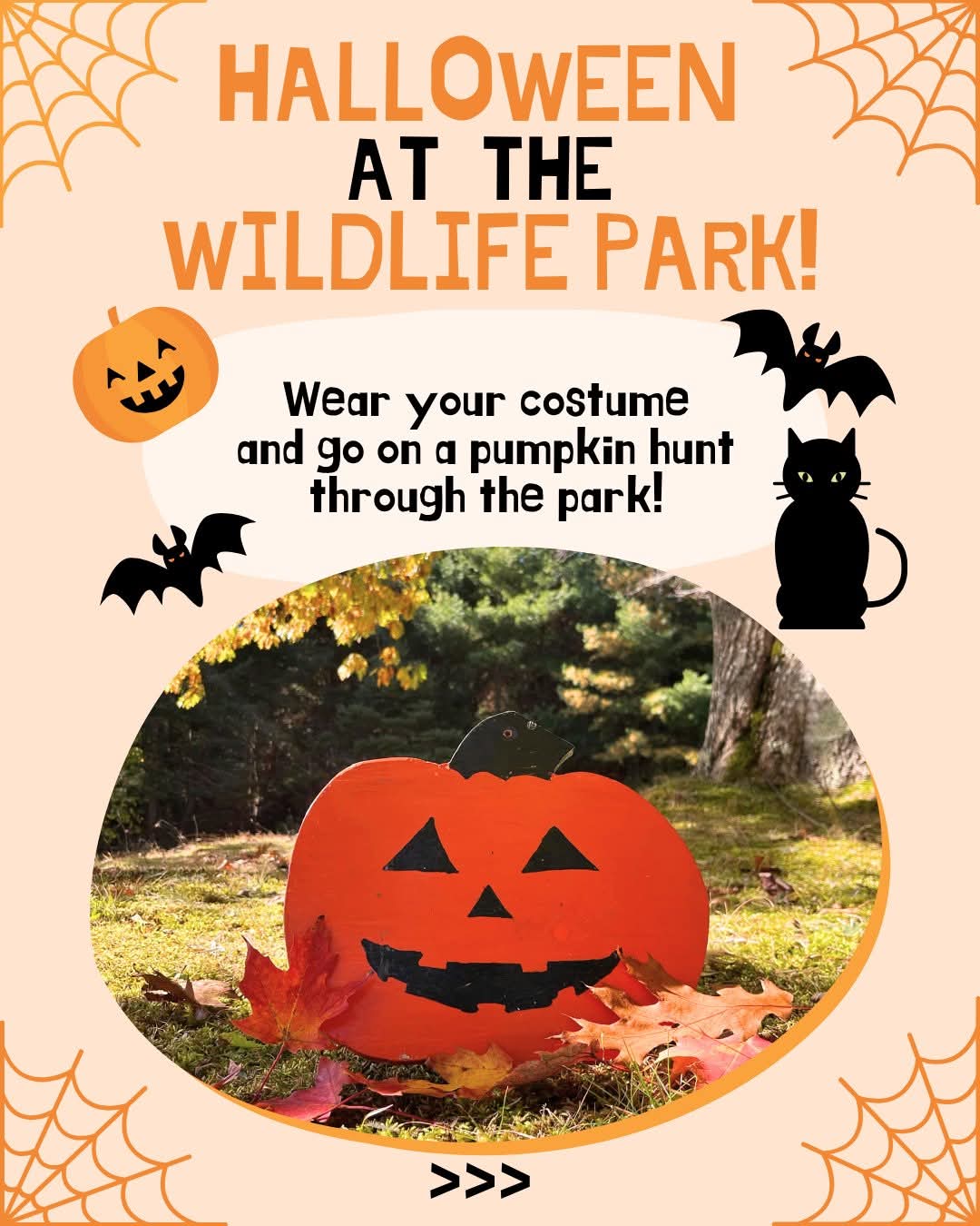 Join us for this year's Halloween Weekends!