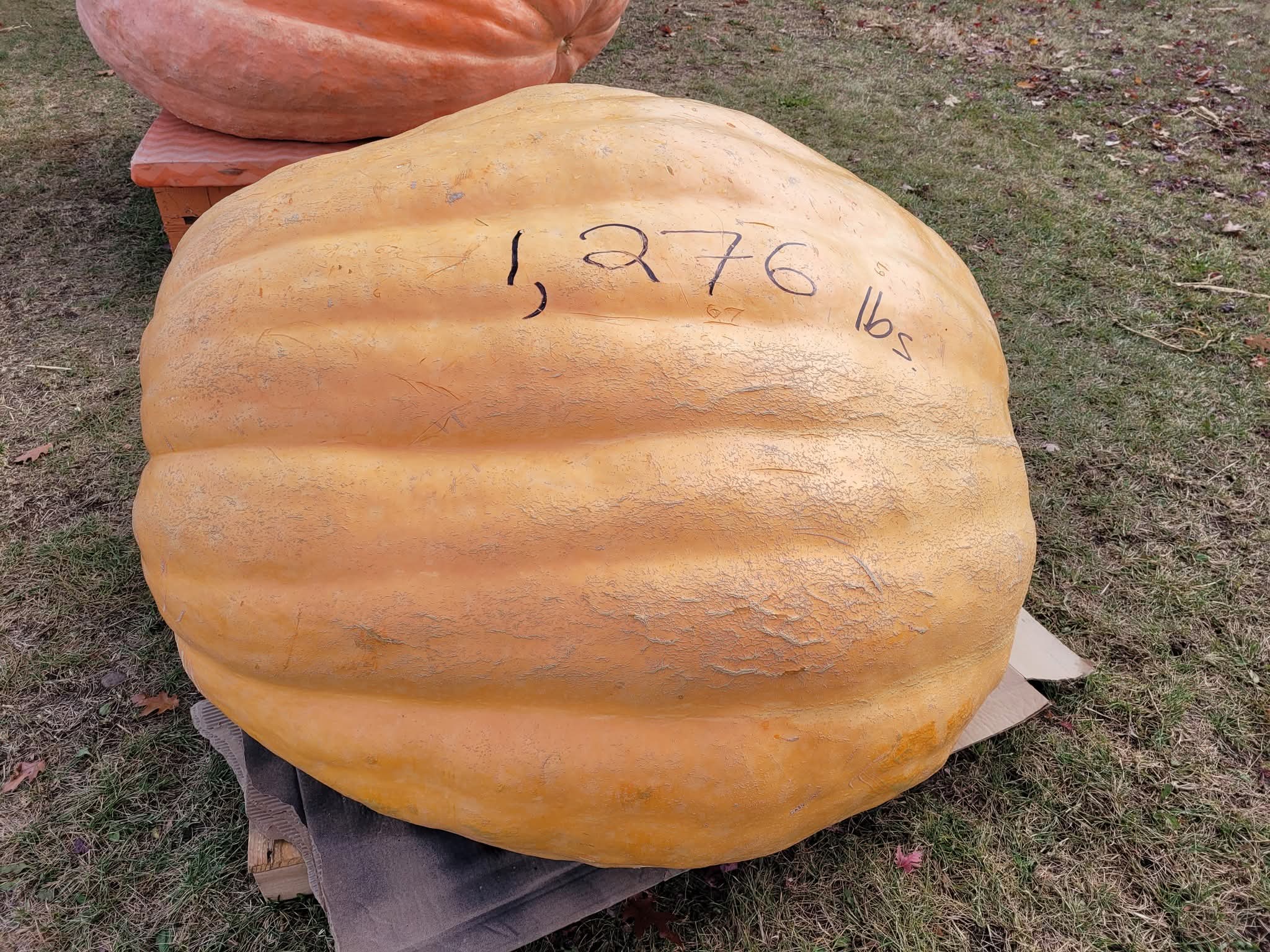 Pumpkin Drop - New Date!