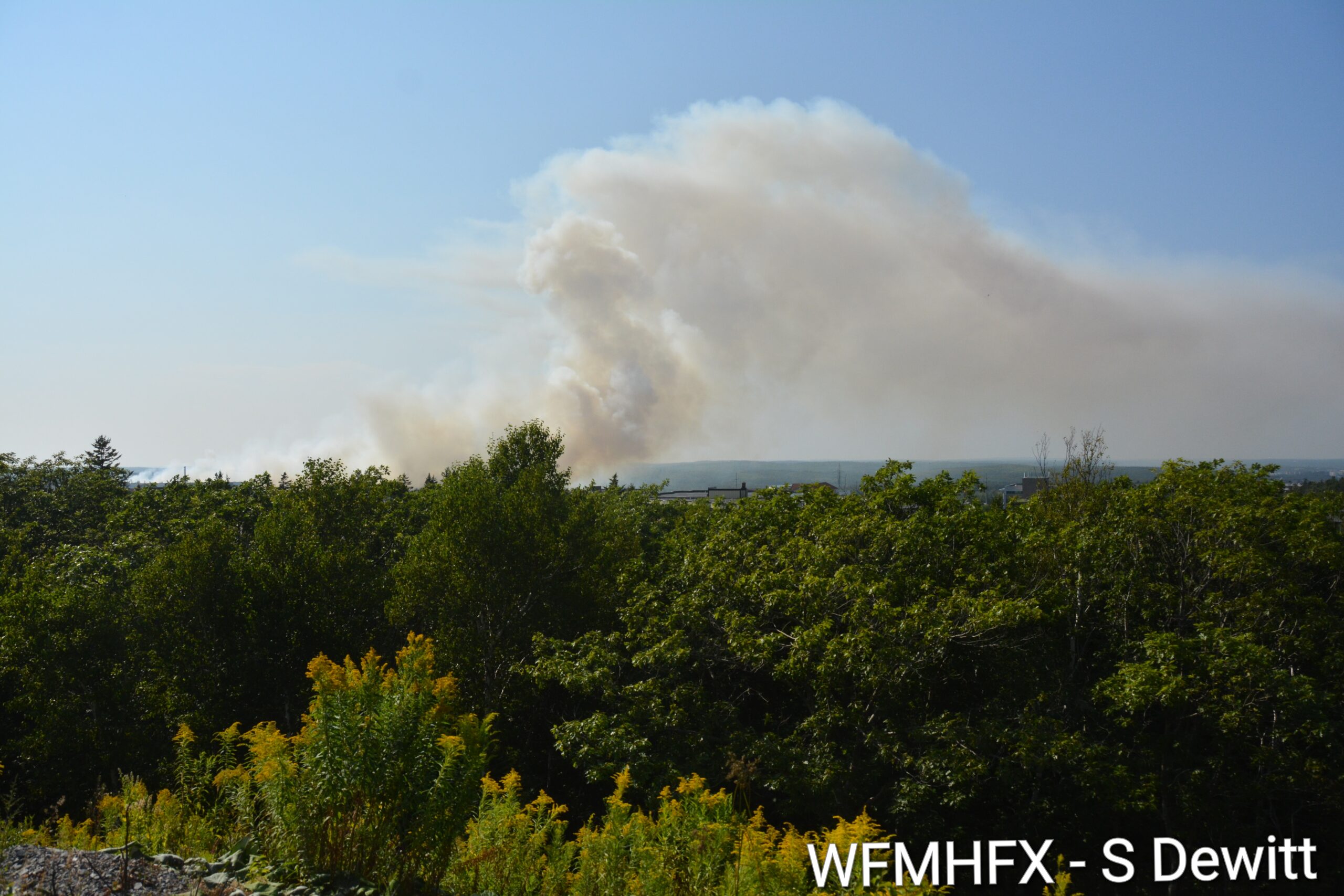 Funding for Regional Emergency Management Organizations