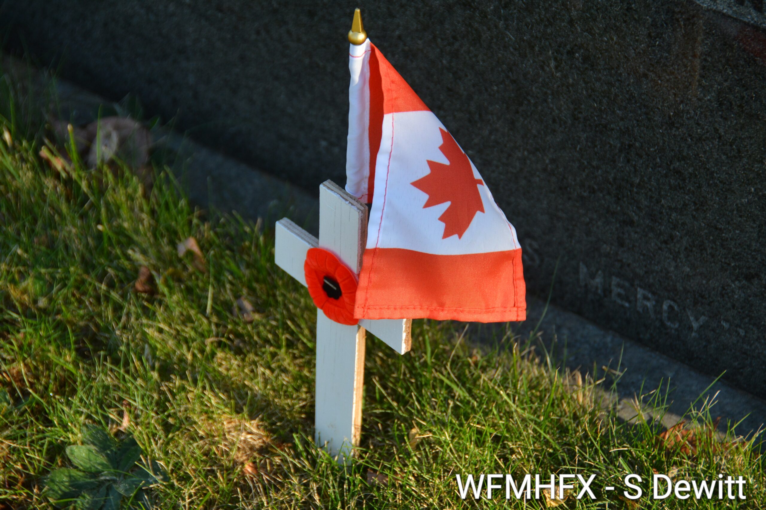 Poppies and flags in memory