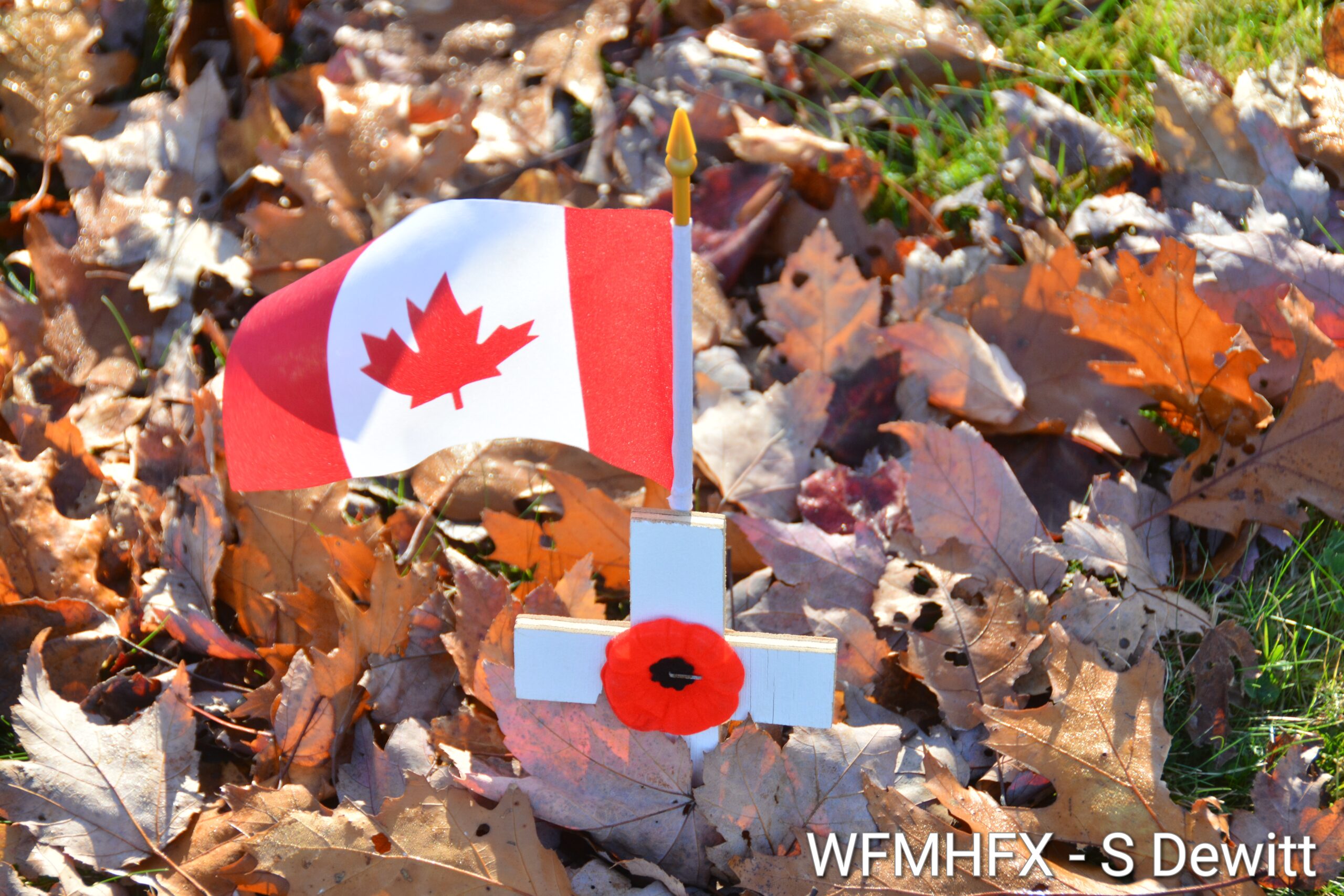 A message from Premier Tim Houston regarding poppies in courts