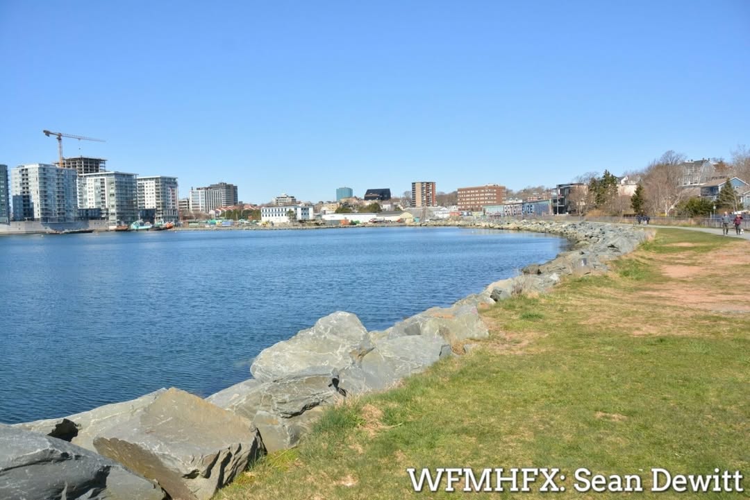 The Dartmouth Cove infill project continues to be a concern for many in the HRM after Transport Canada approved an amended proposal