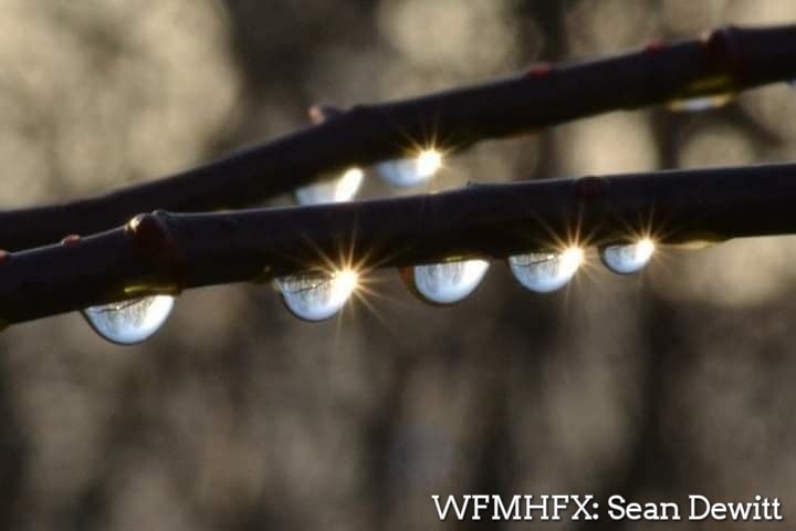 Halifax Water is advising residents that the heavy rainfall on Monday, November 10, will create surface-level run-off
