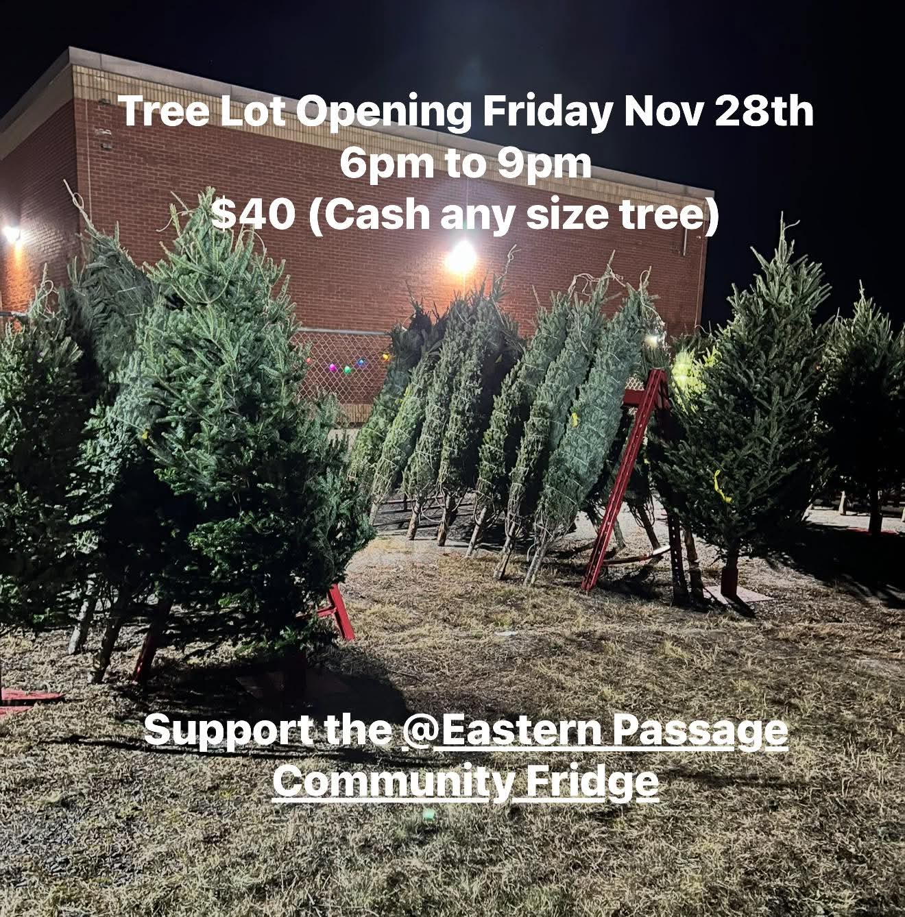 Christmas Trees Return to HRFE Station 16!