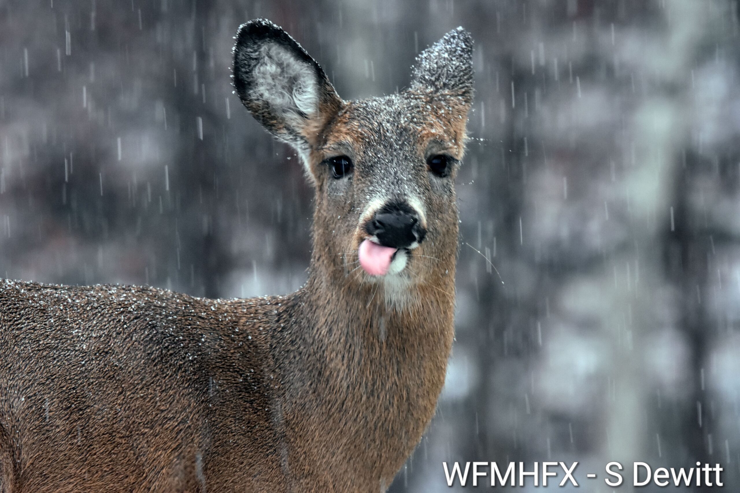 Slippery conditions in HRM