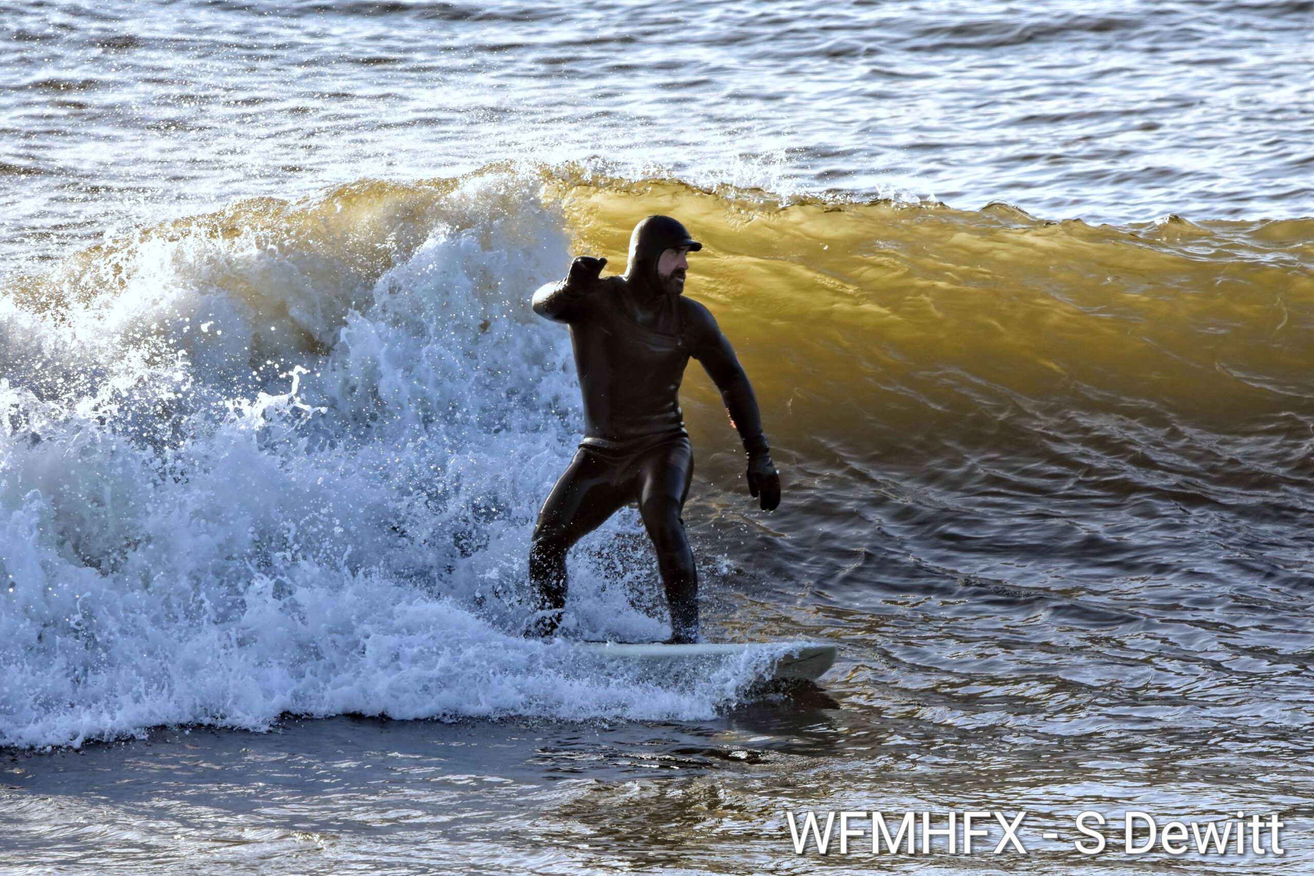 In photos - Surfers take advantage of a bright sun and fun waves in Cow Bay as we approach New Years Eve!
