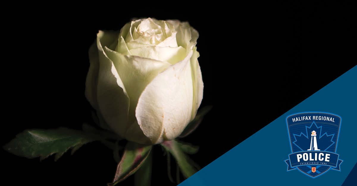 December 6 is National Day of Remembrance and Action on Violence Against Women