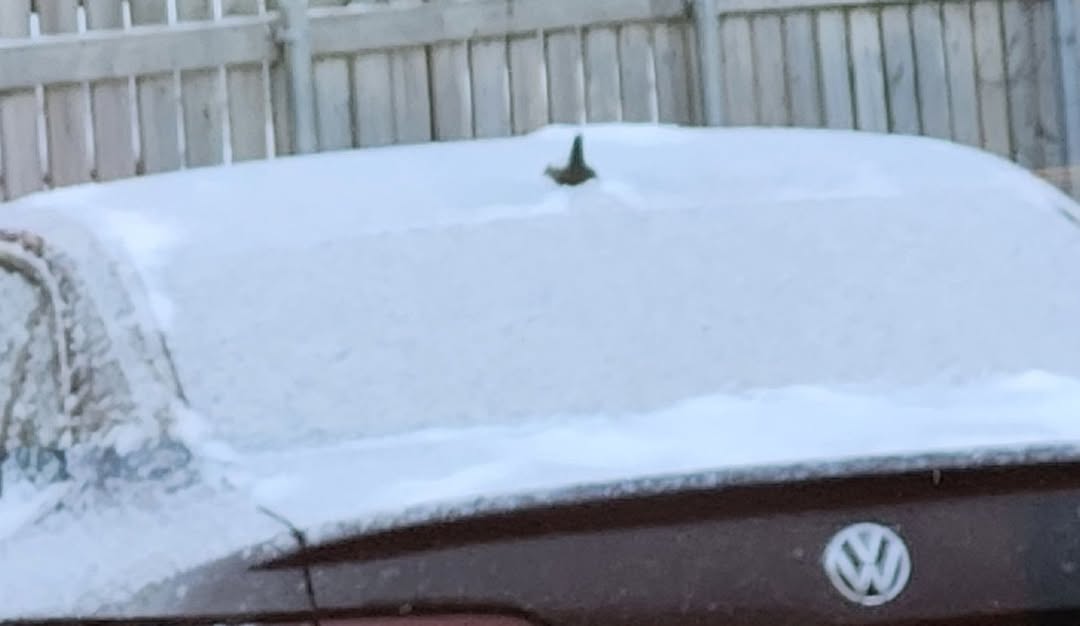Please clear vehicles before heading out