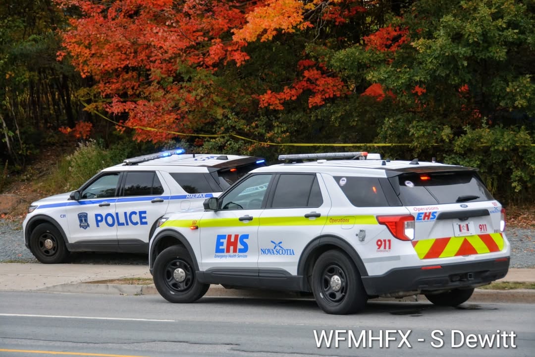 Municipal Statement regarding the Lower Flinn Park de-designated location