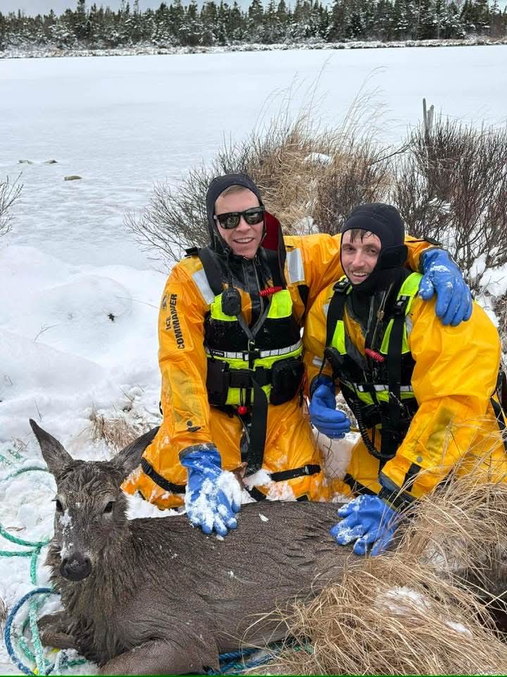Via Island and Barrington Passage Fire Rescue Deer in Distress
