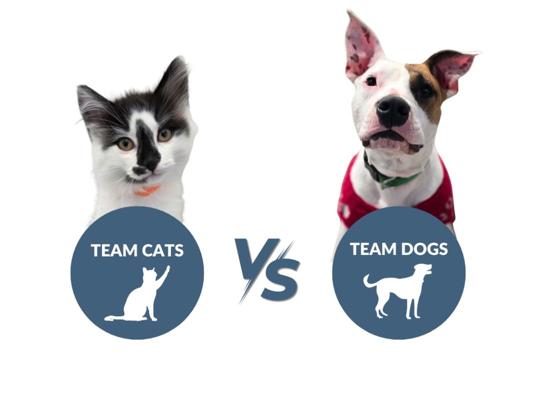 For this Giving Tuesday, we’re asking YOU to help settle this BFF Battle