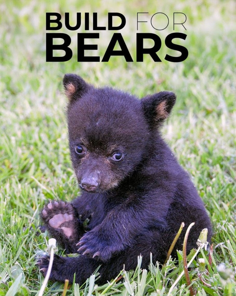 Hope for Wildlife’s Build for Bears Fundraising Campaign