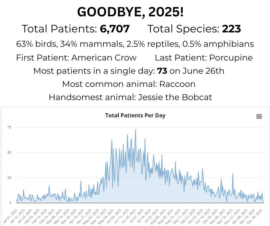 HFW typically get about 40,000 calls/texts each year to our help line, but a lot of those calls turn out to be educational-type calls, or animals that fortunately didn't need any help