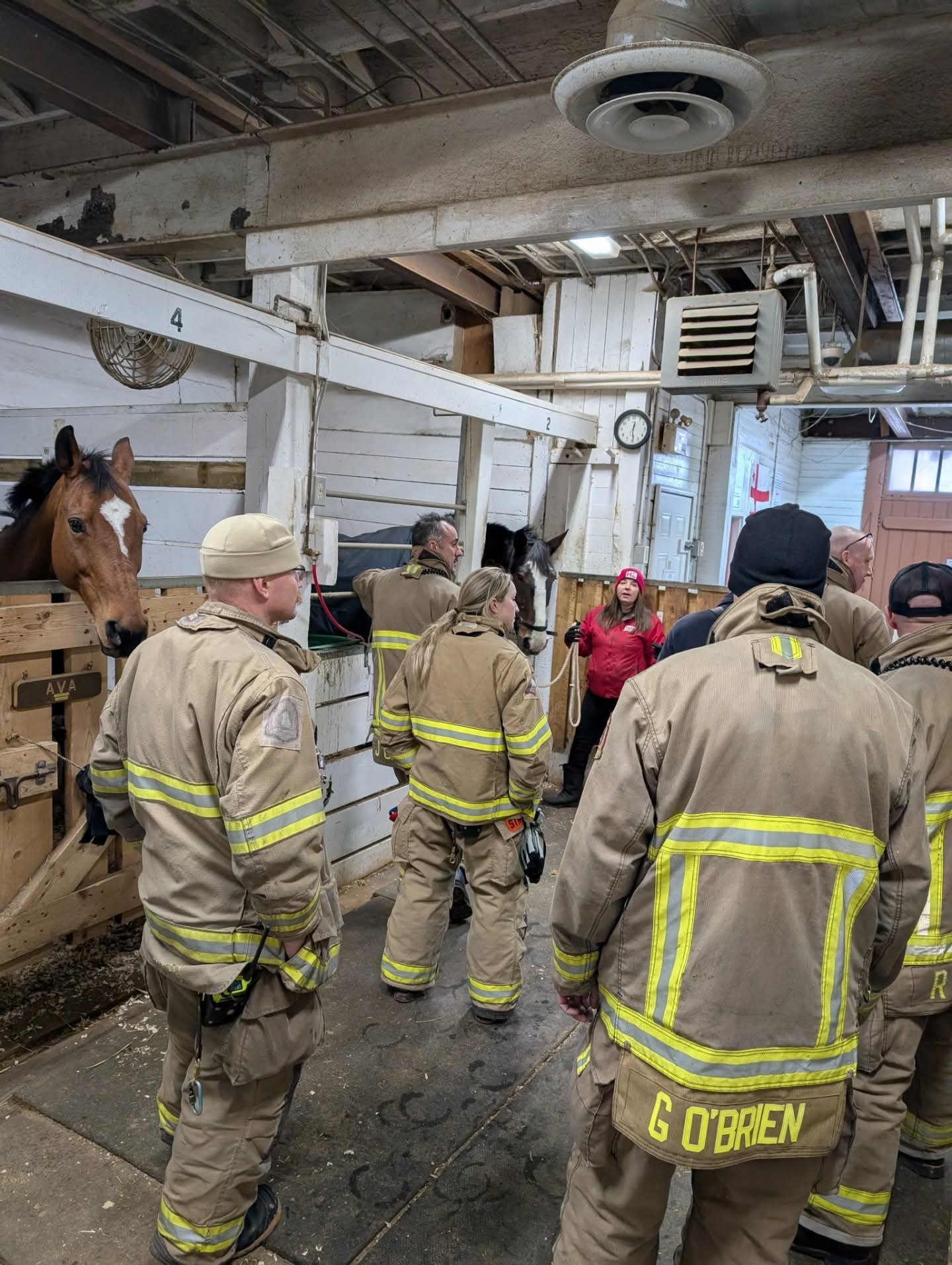 Halifax Lancers works with local firefighters to practice handing the horses for different scenarios