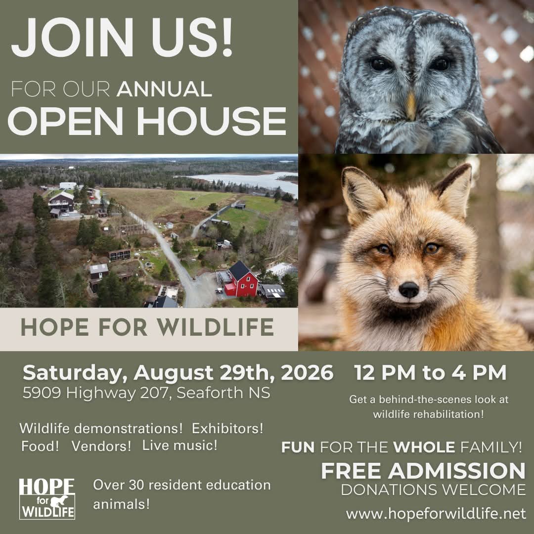 Repost - Hope for Wildlife 2026 Open House
