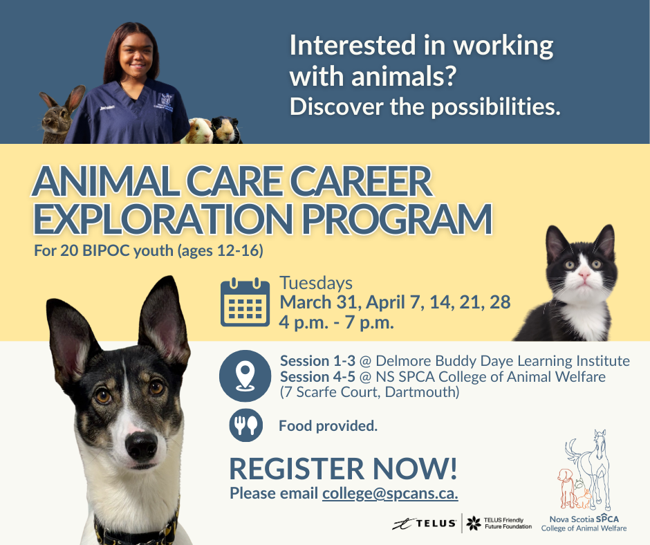 Great Mews! Our free Animal Care Career Exploration Program is back!