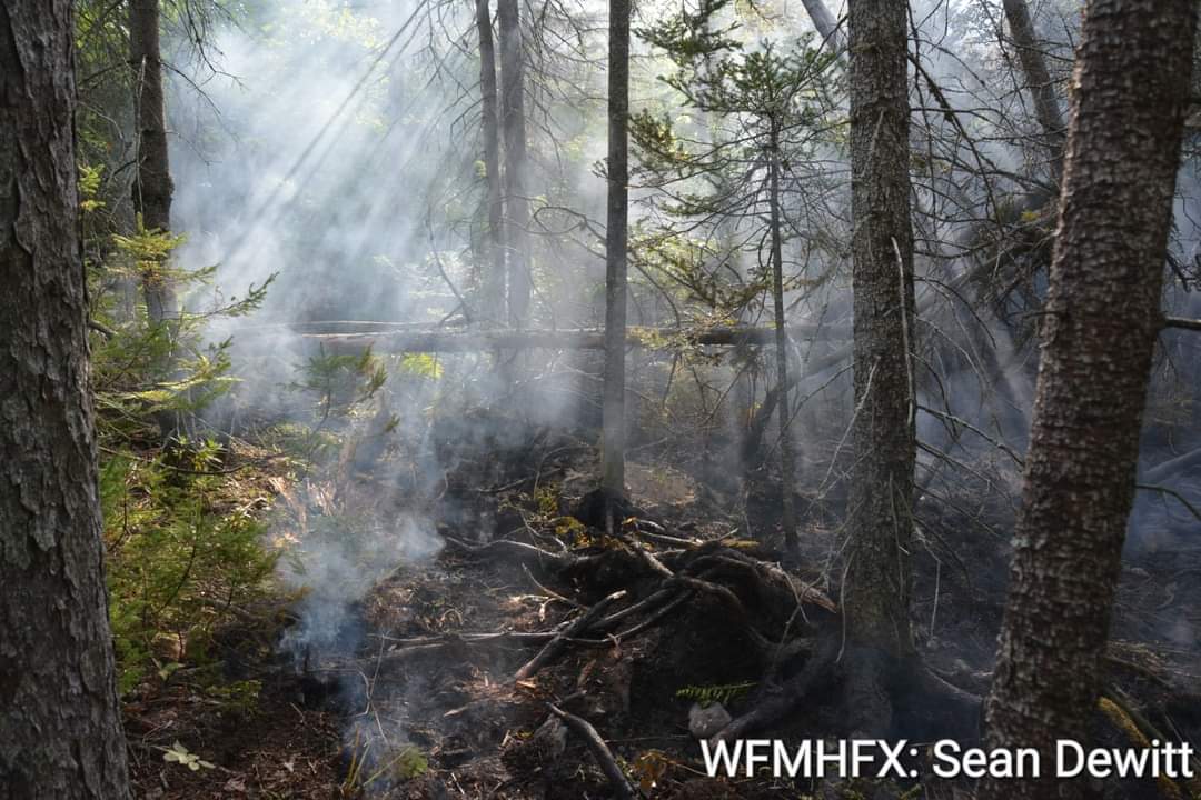 WASP Wildfire Expands Nationally with Launch of WASP Wildfire Atlantic