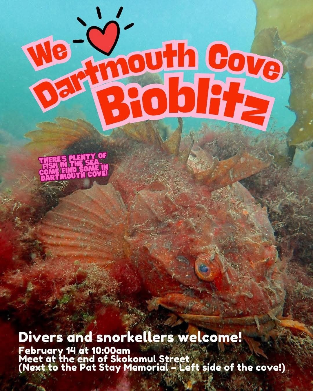 DARTMOUTH COVE BIOBLITZ ROUND 2