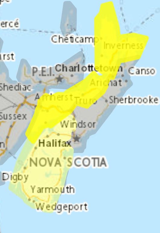 Special weather statement and coastal flooding statement in effect