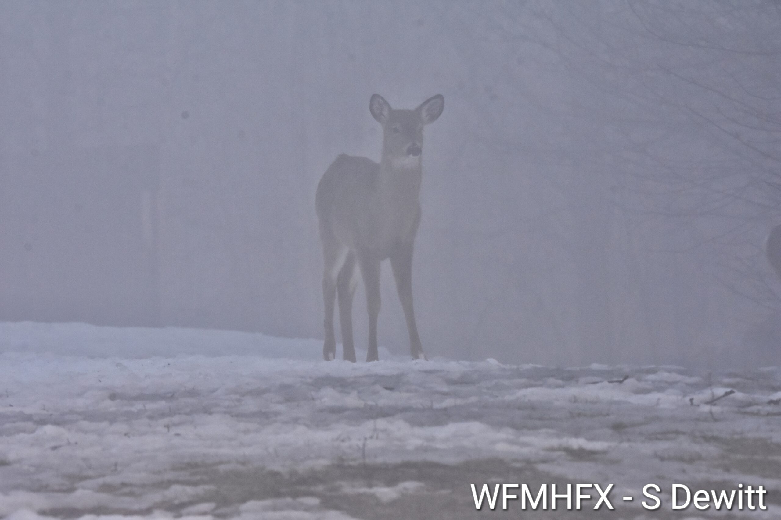Todays weather for the Halifax area