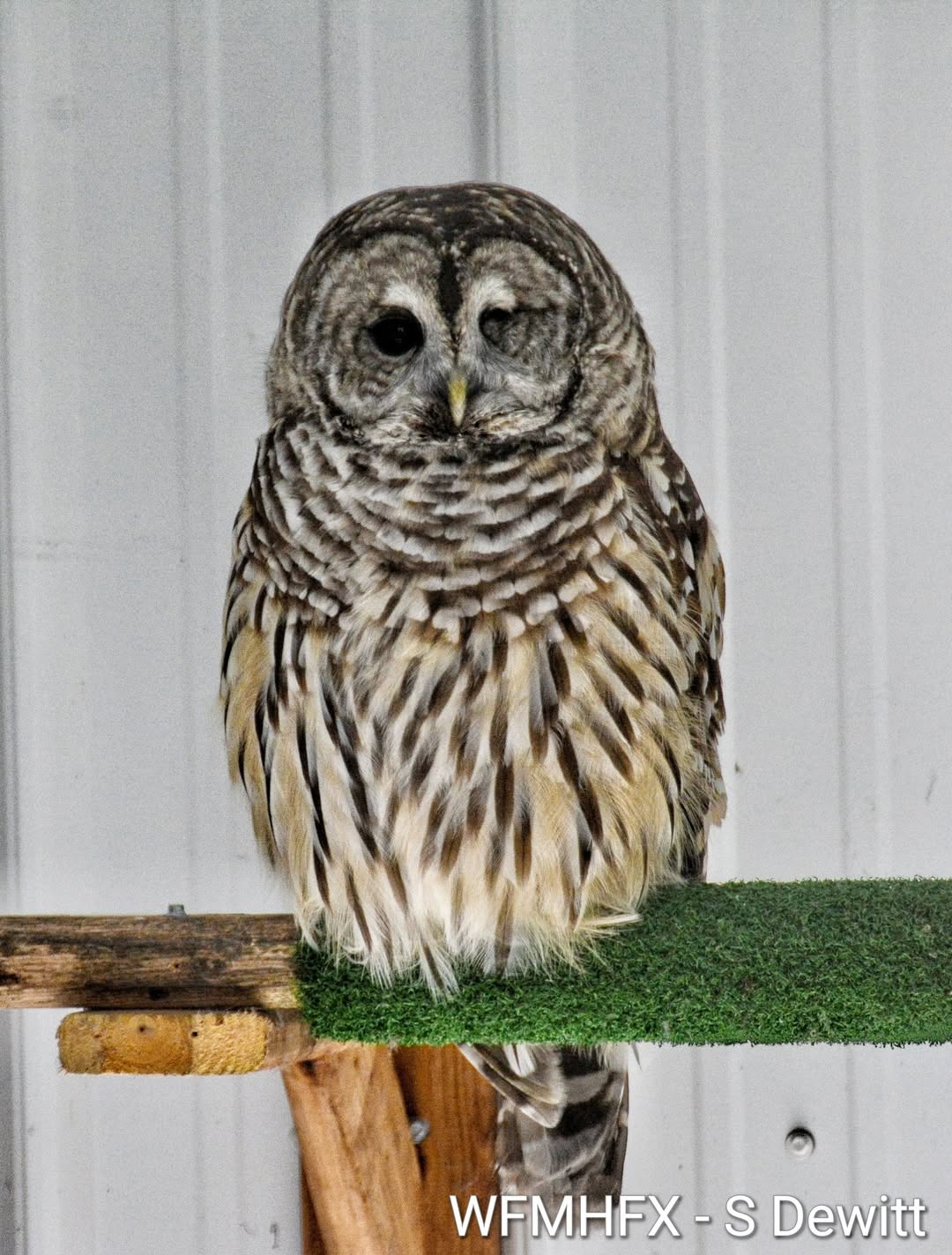 “We caused many of the problems wildlife faces"
