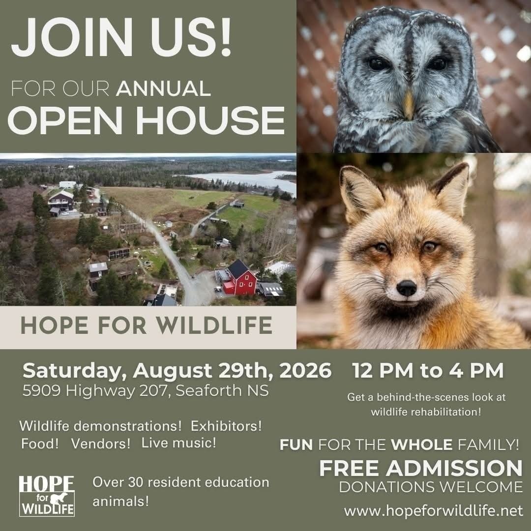 Hope for Wildlife 2026 Open House