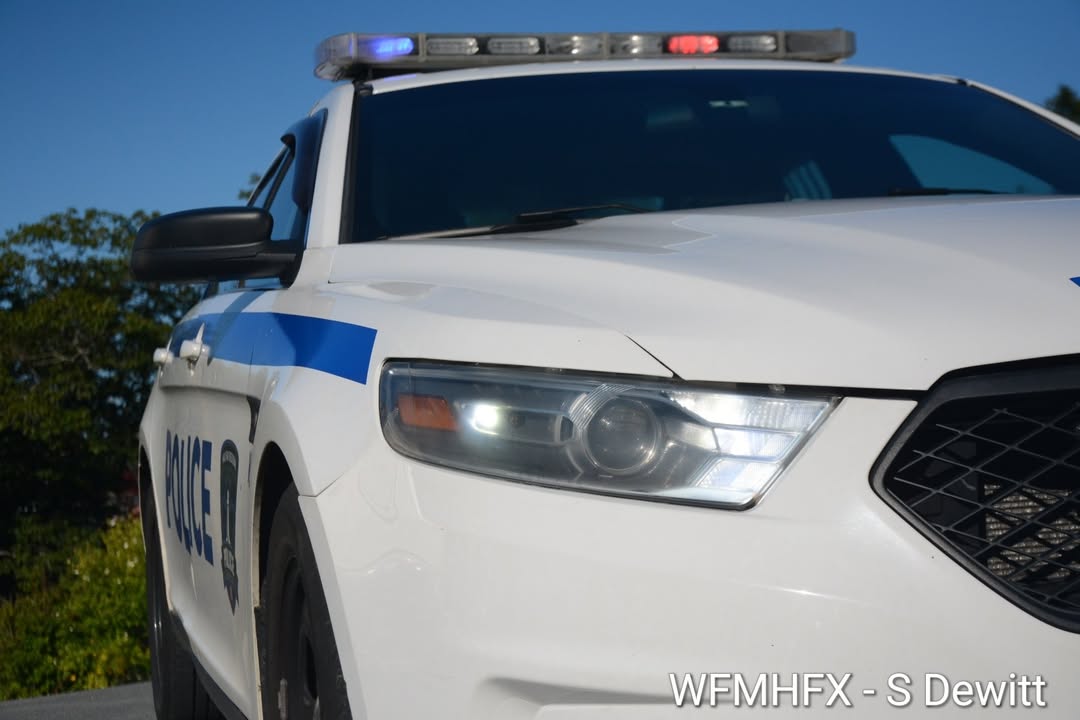 Police arrest prolific offender
