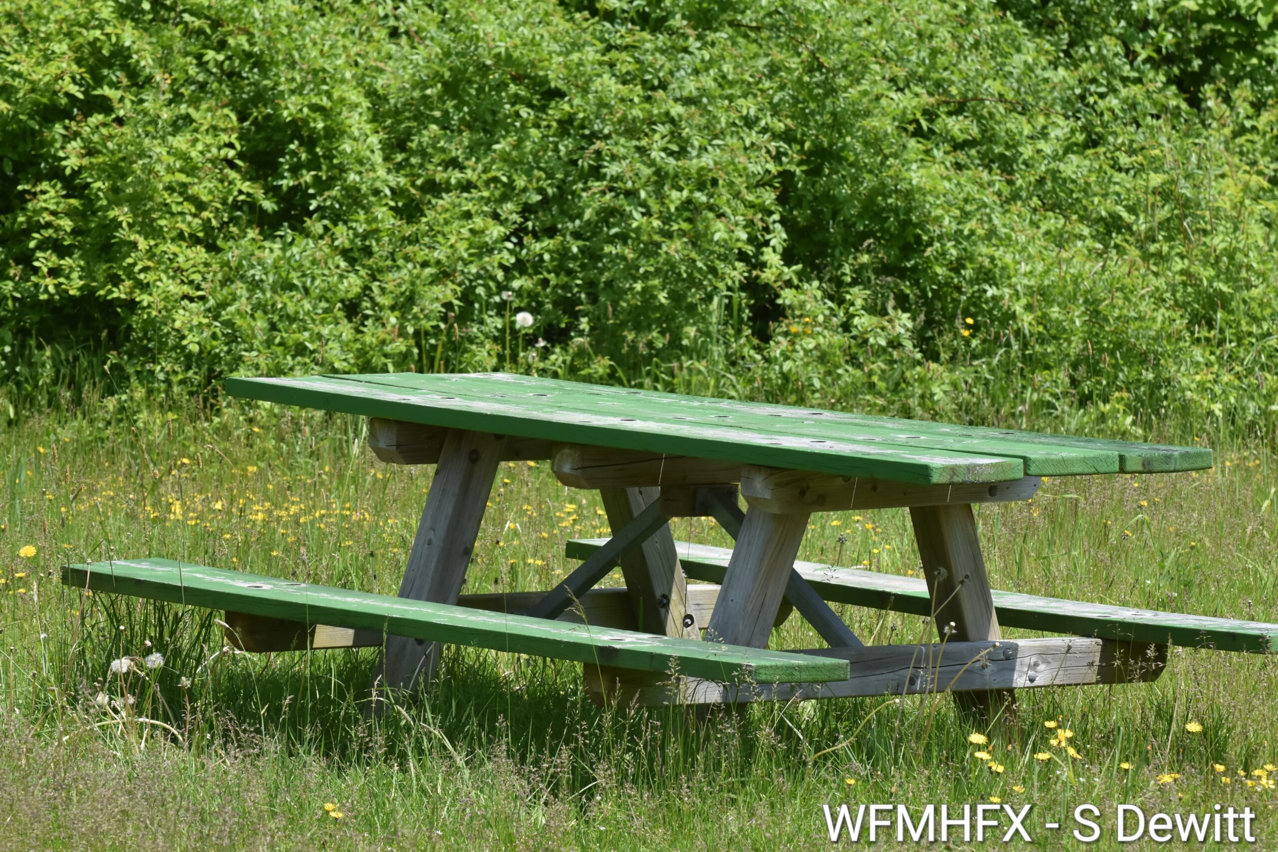 Registration opening for Parks & Recreation summer programming 