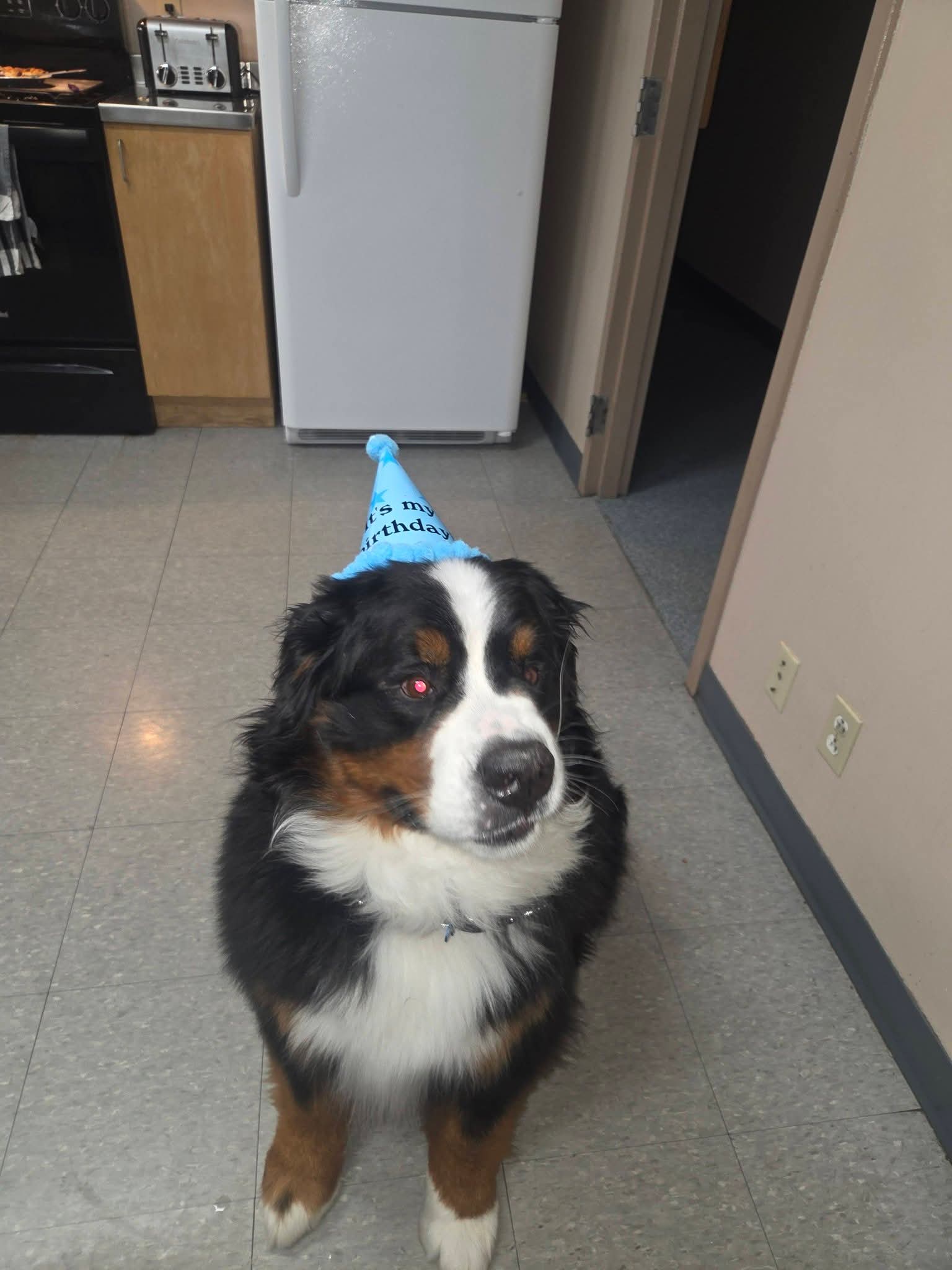 Happy birthday, Siren!