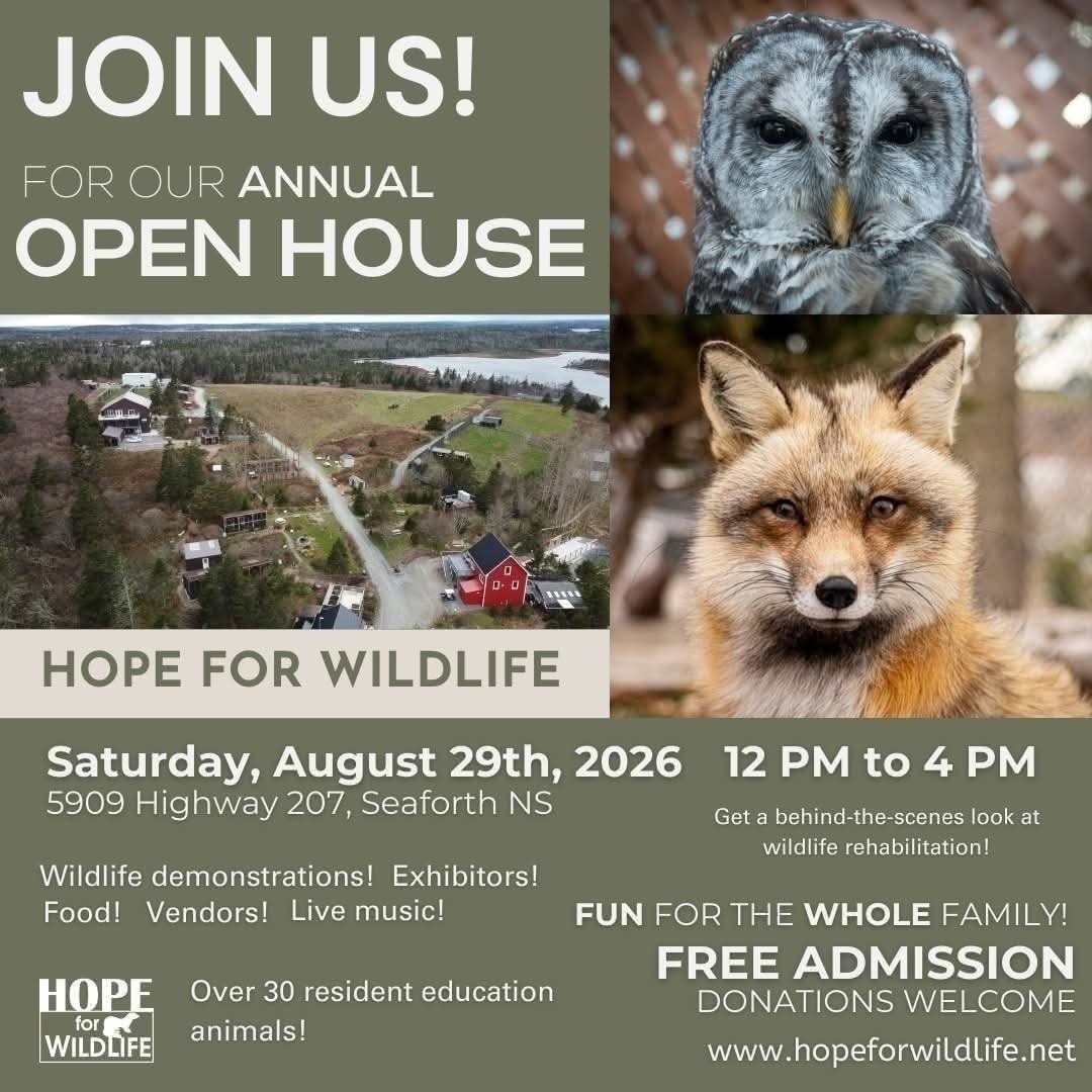 Repost - Hope for Wildlife 2026 Open House
