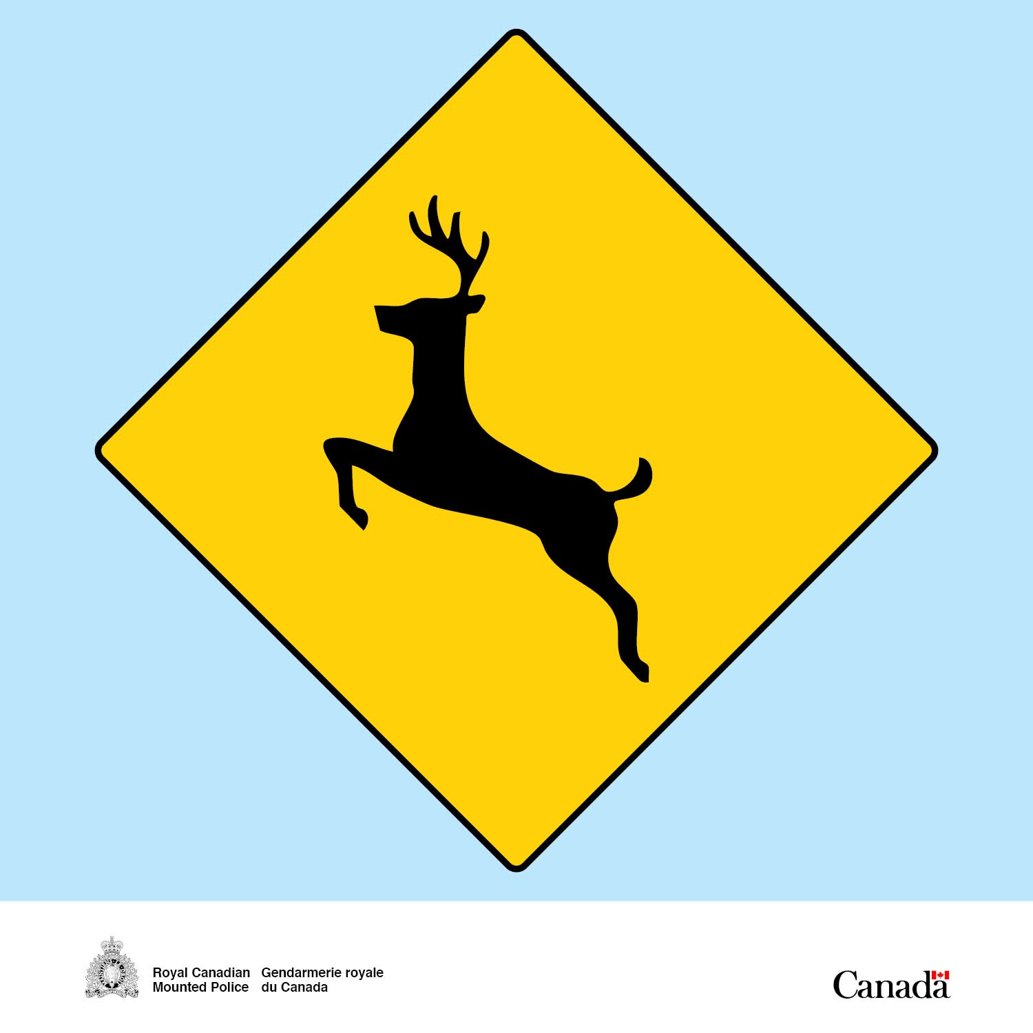 Deer are on the move this spring. Slow down, drive to conditions and watch for wildlife, on this stretch and on roads across the province