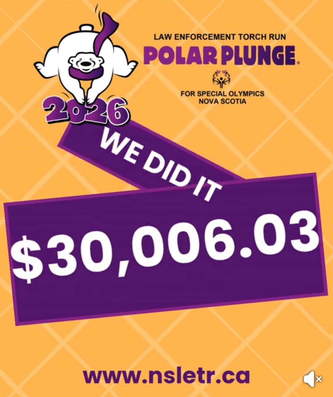 Polar Plunge hits fundraiser goal!