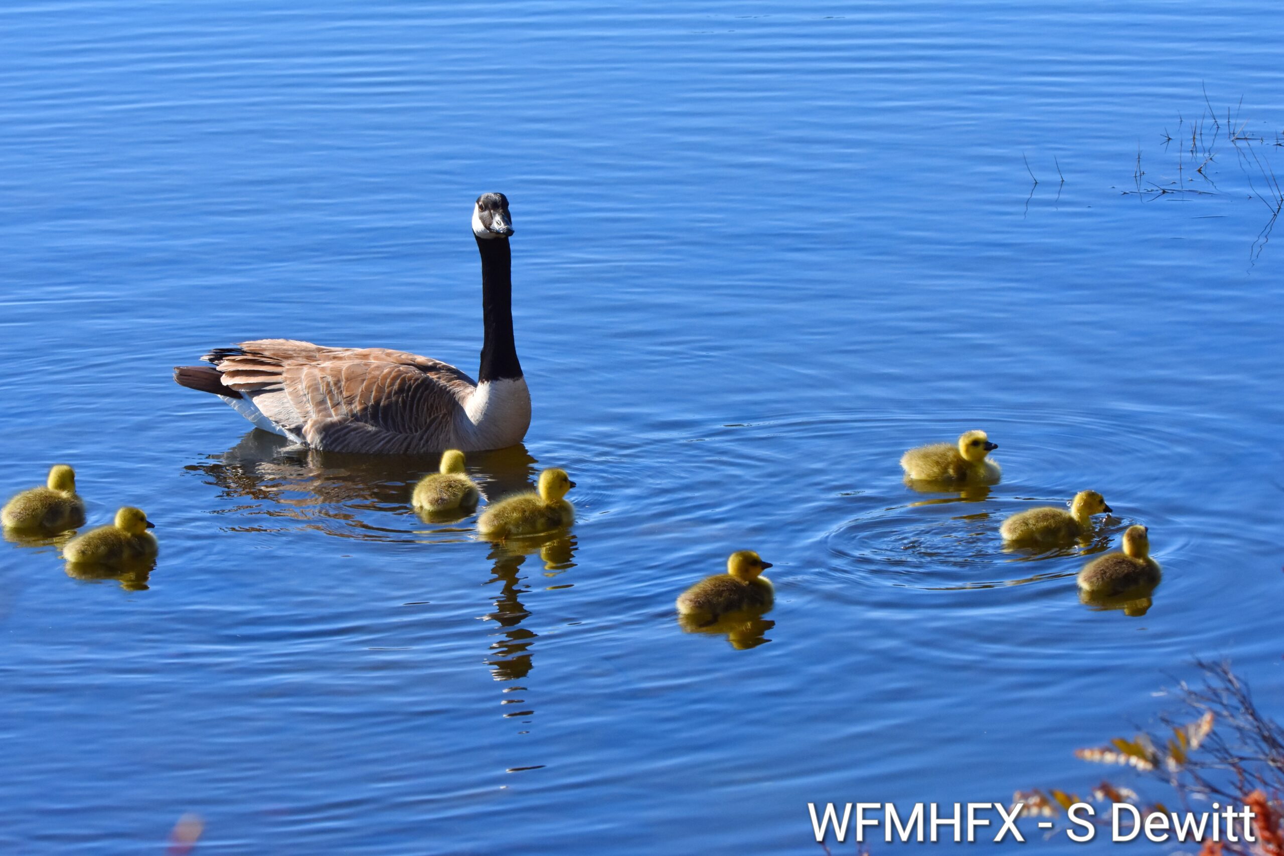 Happy Mothers Day!