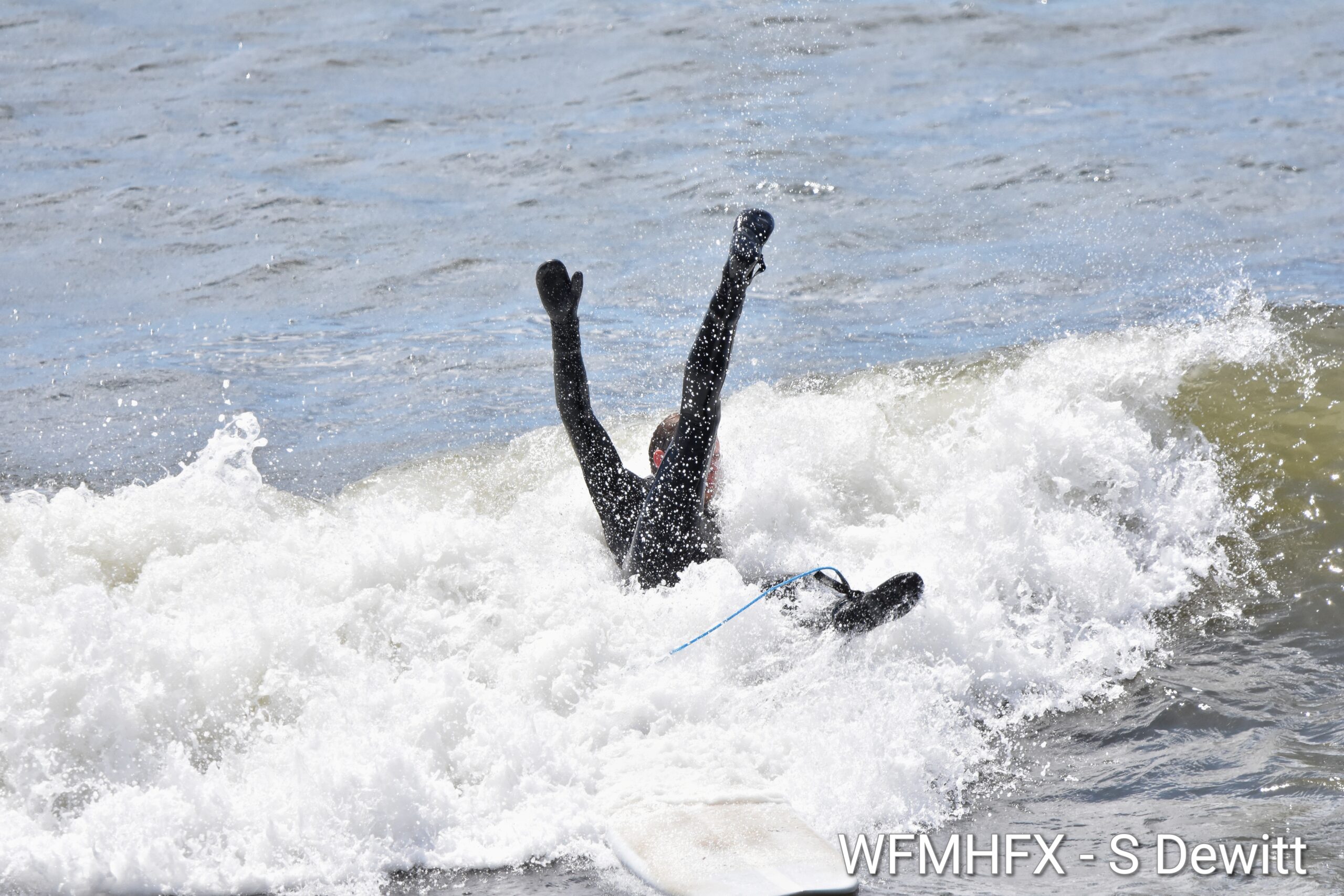 In photos - Under the watchful eye of a curious seal, surfers take to the waters in Cow Bay for a great day of surfing in fantastic weather on this long holiday weekend!