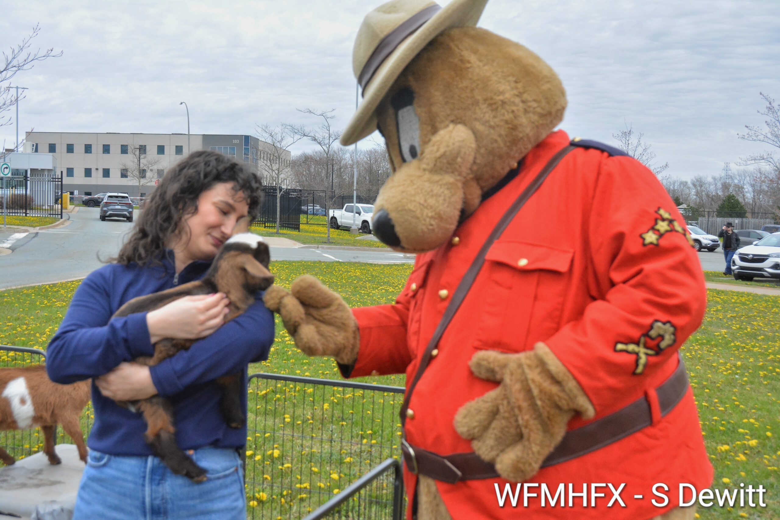 In photos – The annual RCMP Open House, an annual event held during Police Week, welcomed crowds at the, Dartmouth HQ
